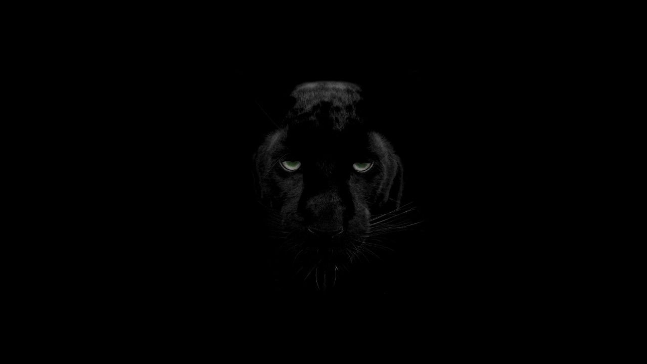 Pantera Nera occhi verdi, 1280x720 HD, Desktop