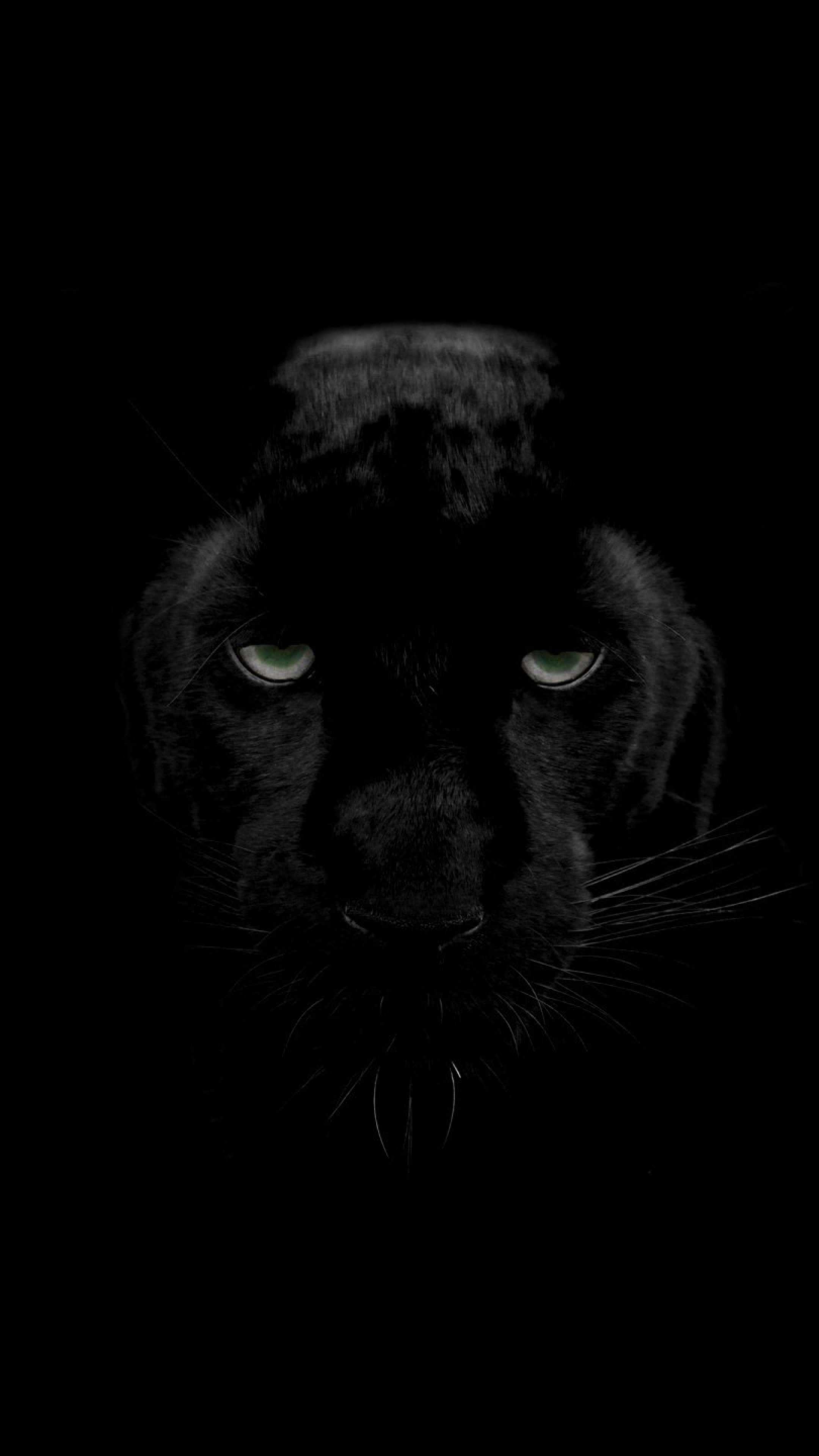 Pantera nera occhi verdi, 2160x3840 Full HD Verticale, Smartphone