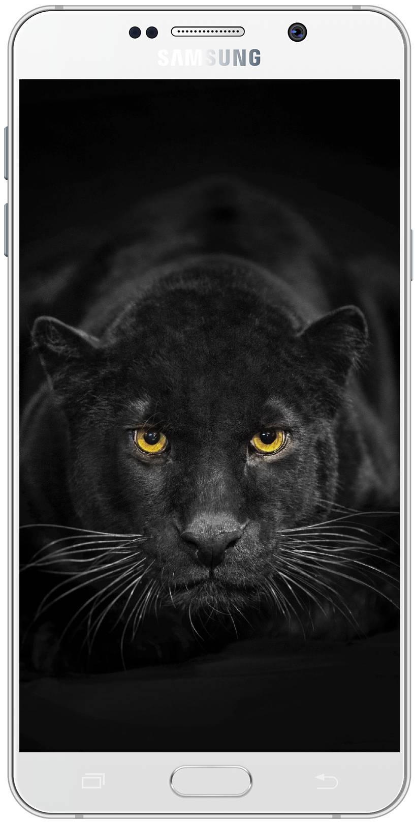 Pantera nera occhi gialli, 817x1618 Full HD Verticale, iPhone