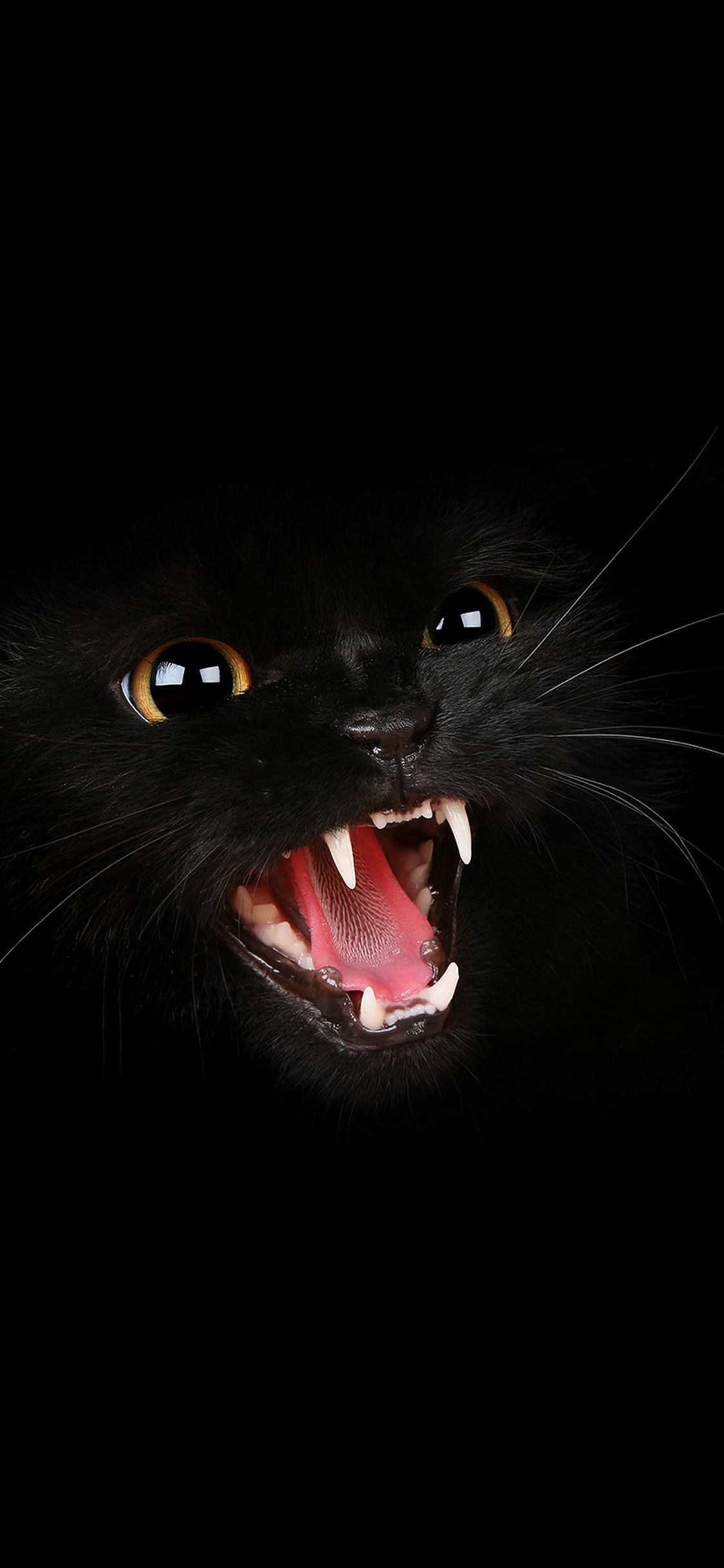 Gatto nero che ringhia, 1125x2436 Verticale, Telefono