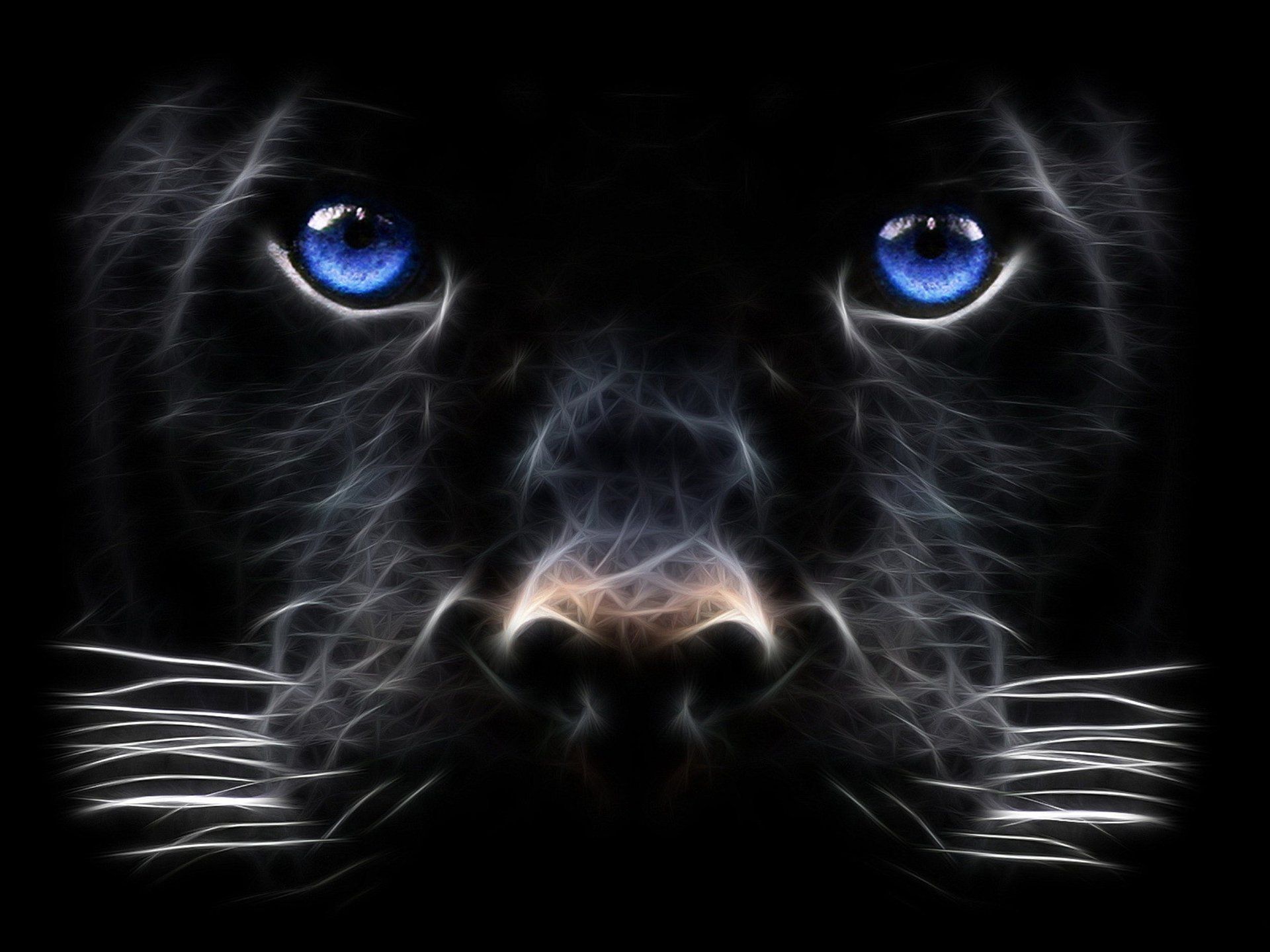 Pantera nera occhi blu, 1920x1440 Full HD+, Desktop