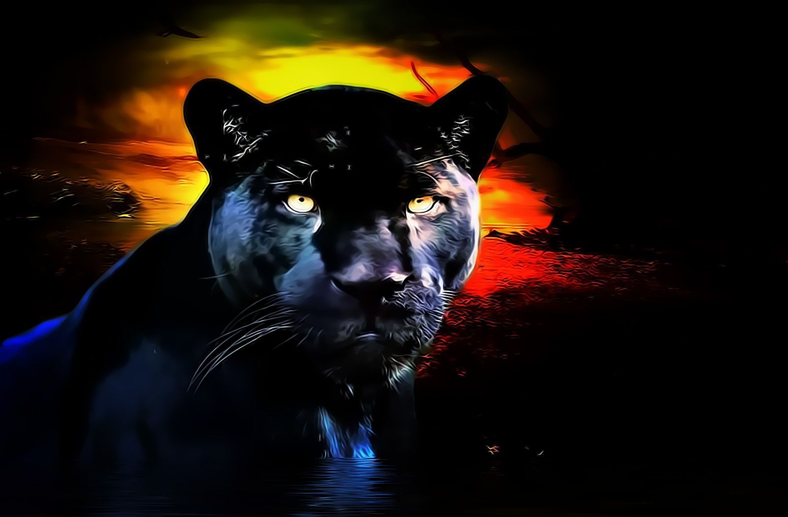 Pantera nera occhi gialli, 1600x1050 900p, Desktop
