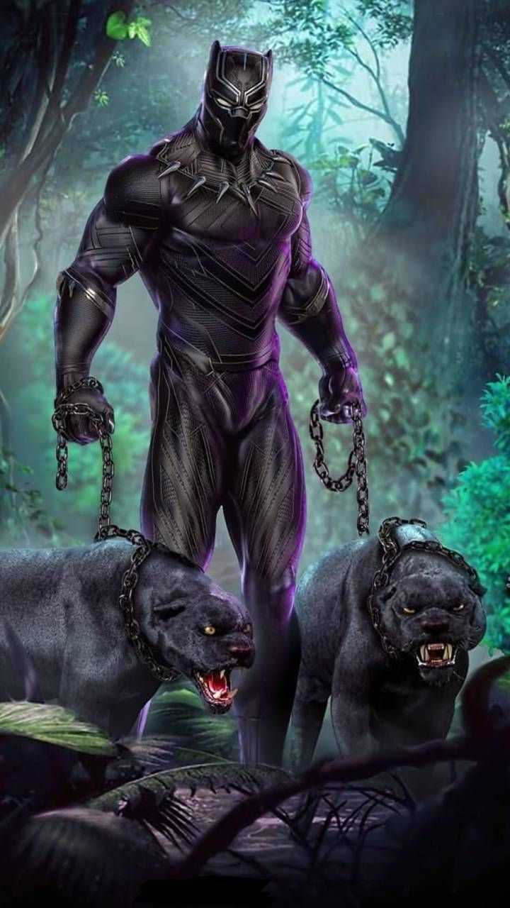 Black Panther con pantere nere, 720x1280 Verticale, Telefono