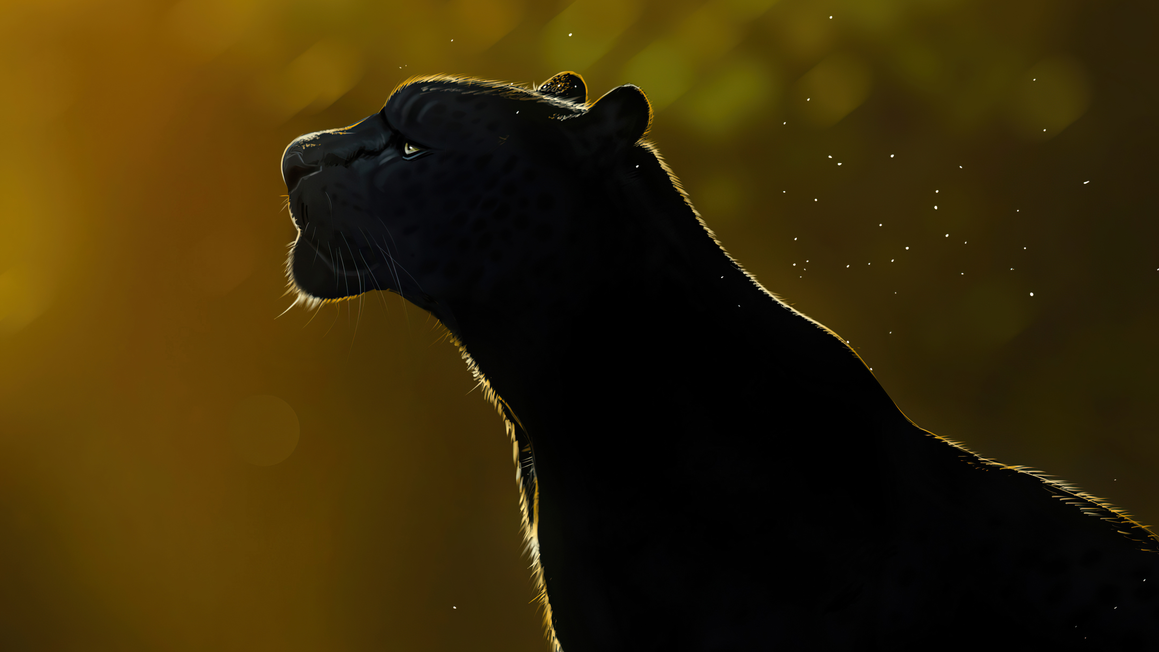 Pantera nera silhouette controluce, 3840x2160 UHD, PC 4K