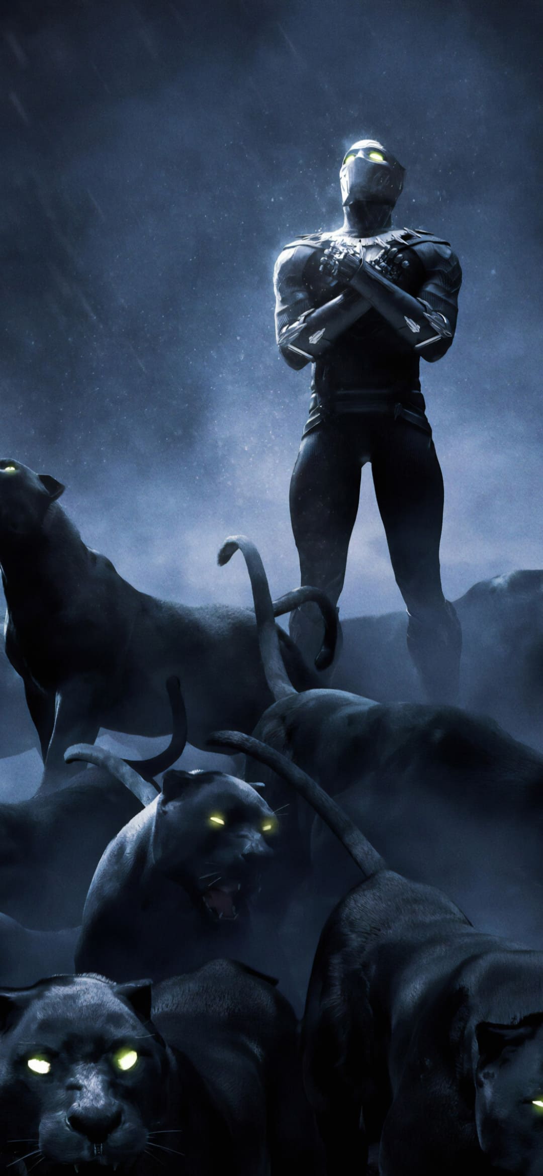 Black Panther con pantere nere, 1080x2340 Full HD Verticale, iPhone