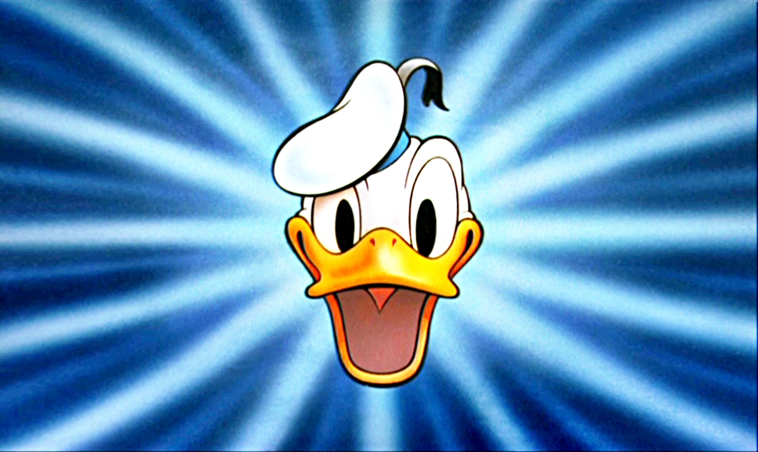 Paperino faccia primo piano, 2560x1526 1440p, Desktop