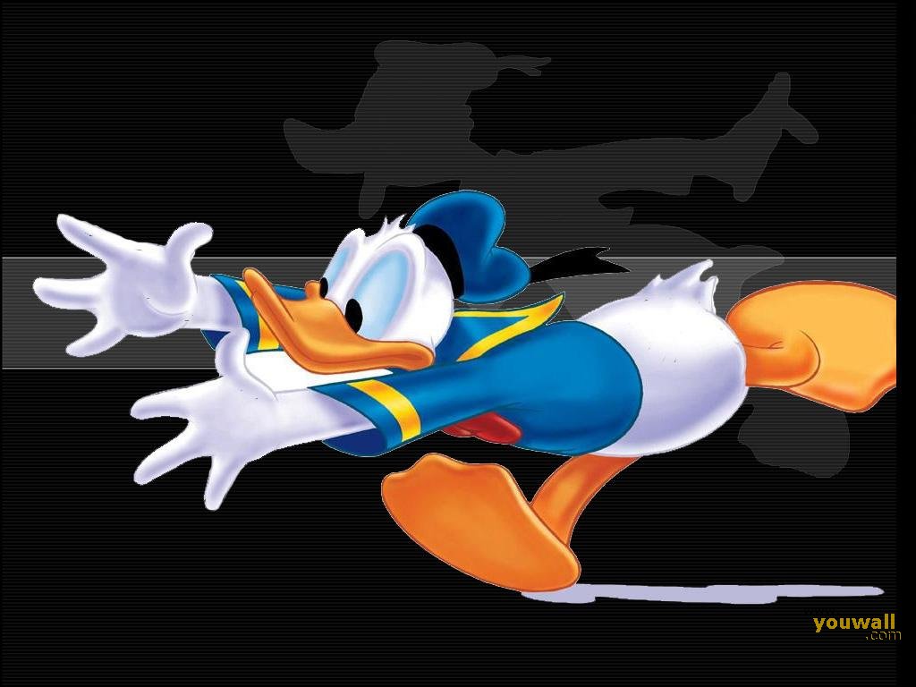 Paperino Disney sfondo nero, 1024x768 HD, Desktop