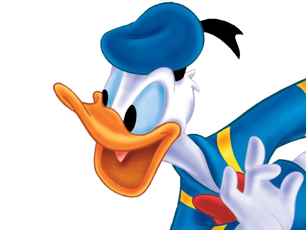 Paperino Disney cartone animato, 1024x768 HD, Desktop