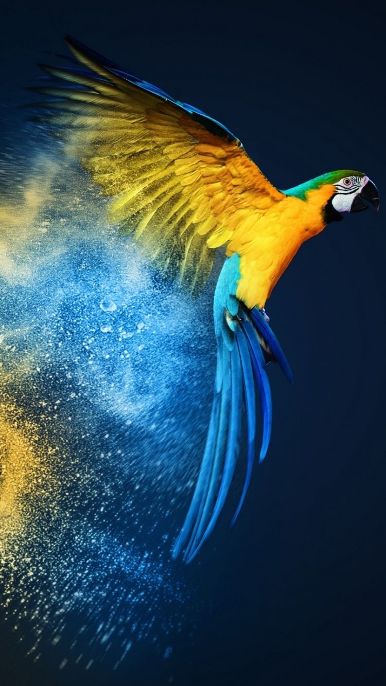 Pappagallo ara in volo, 750x1334 Full HD Verticale, Smartphone