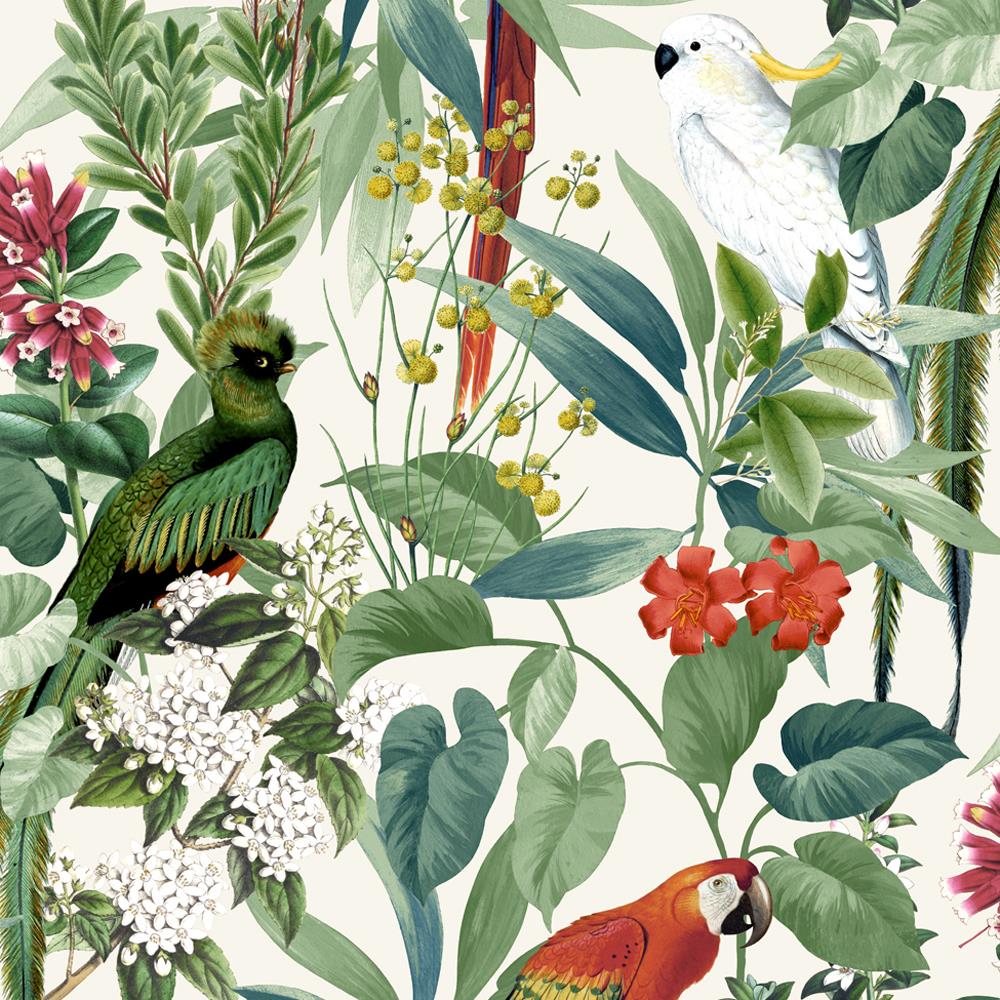 Pappagalli tropicali con foglie floreali, 1000x1000 HD, Desktop
