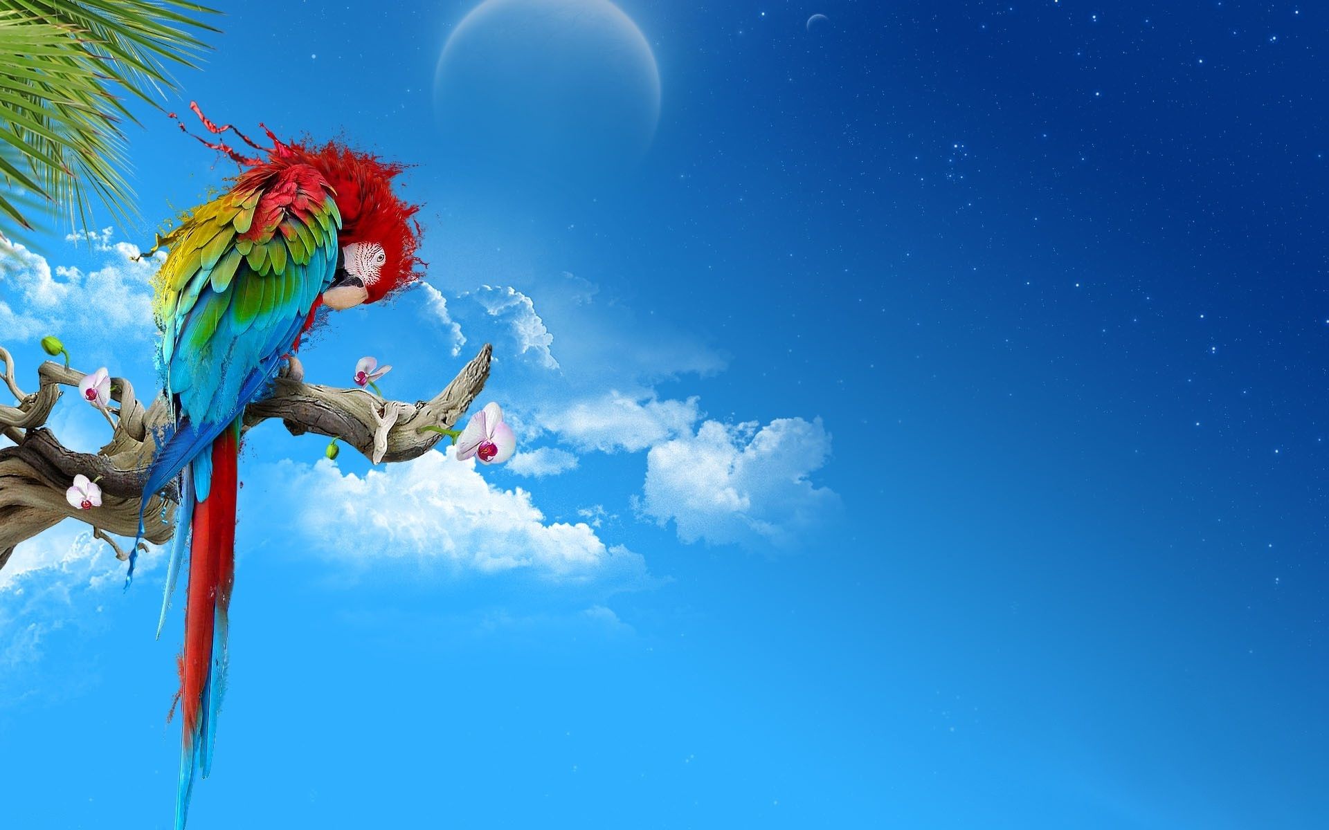 Pappagallo ara colorato su ramo, 1920x1200 Full HD+ WUXGA, iMac