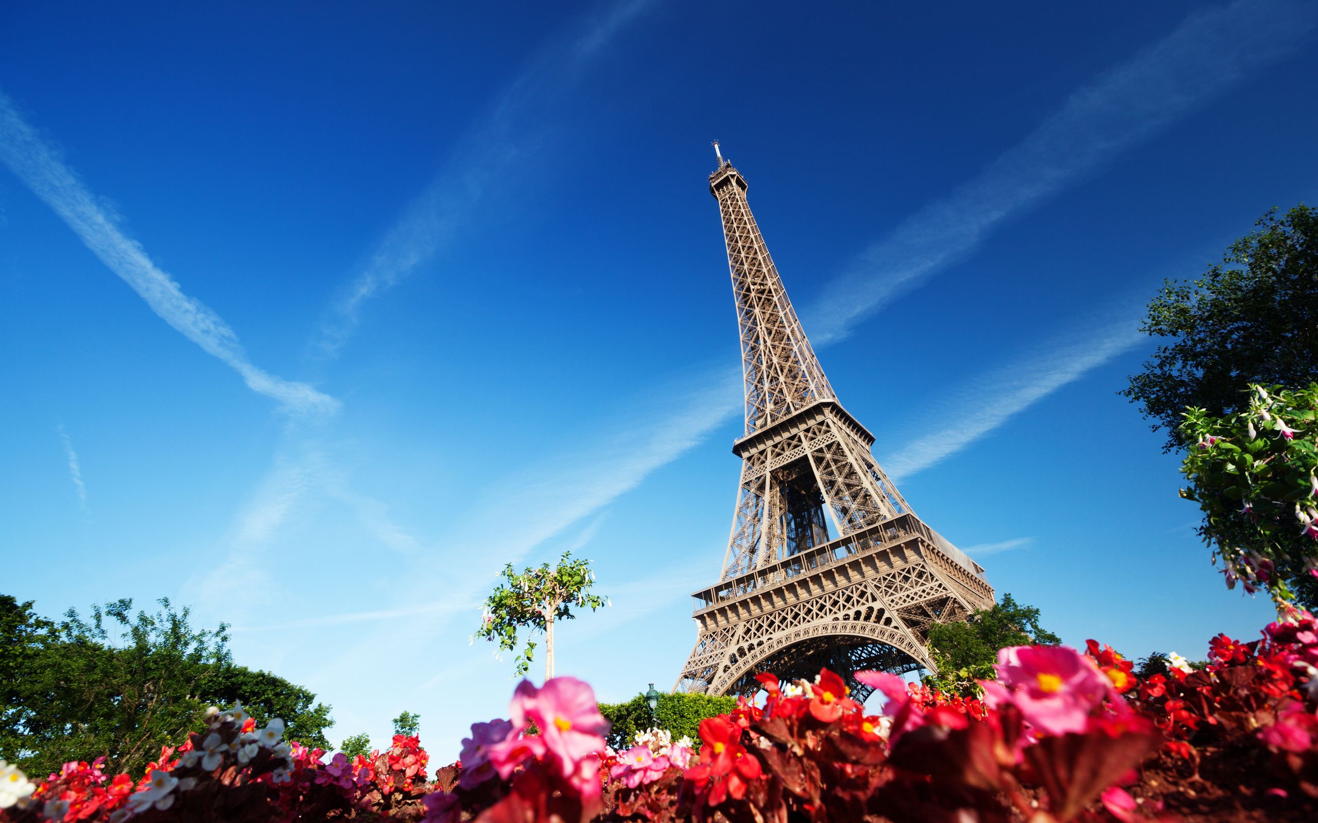 Torre Eiffel con fiori rosa, 2560x1600 2K+, PC