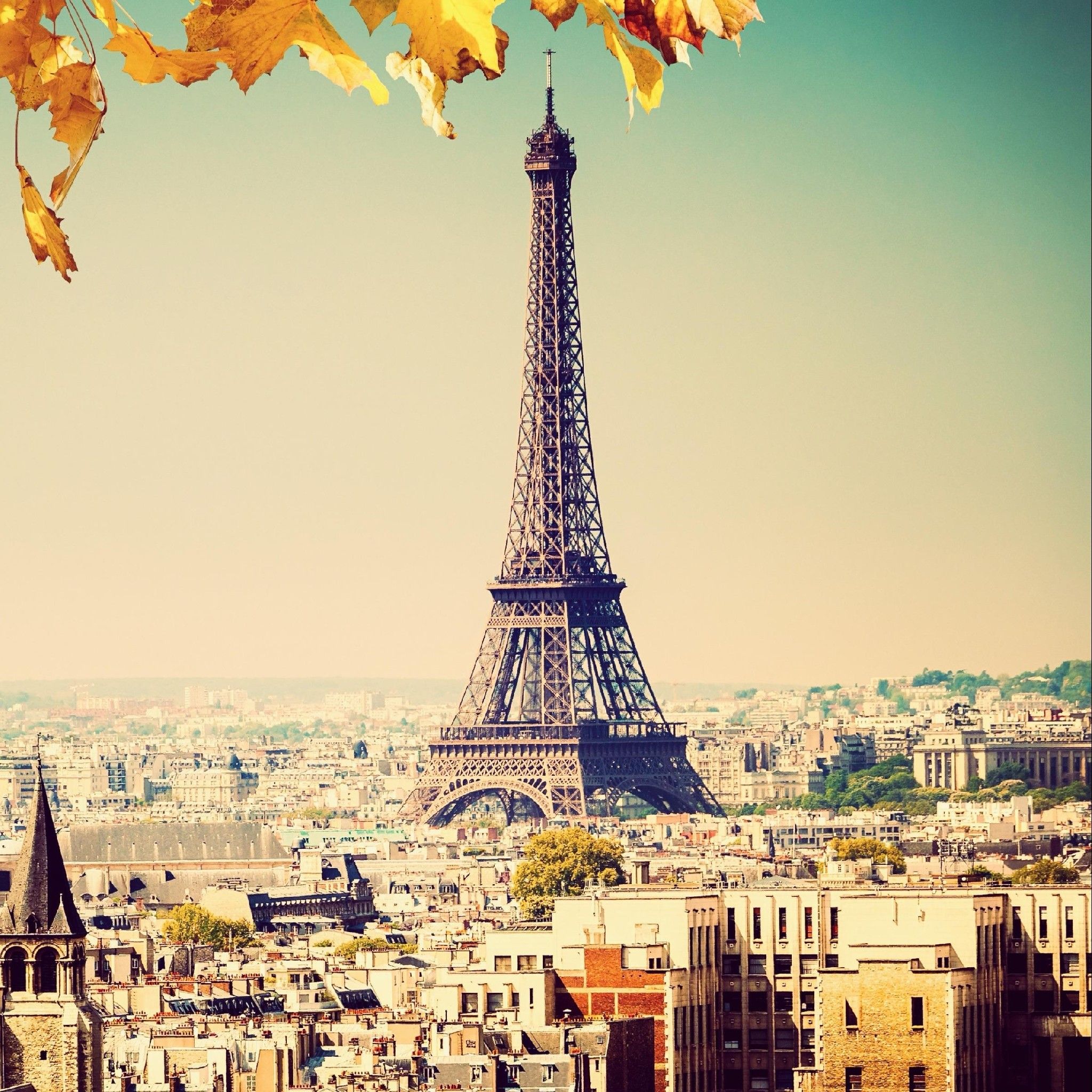 Torre Eiffel autunno Parigi, 2048x2048 2K, PC Desktop