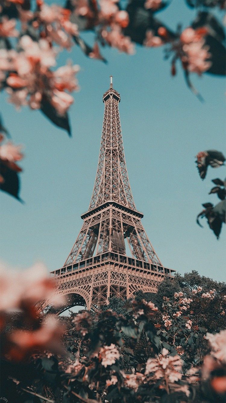 Torre Eiffel tra fiori rosa, Parigi, 750x1334 Verticale, Telefono