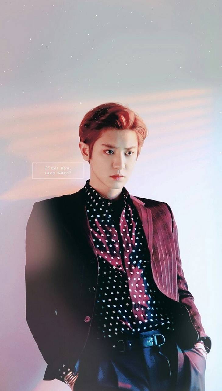 Park Chanyeol EXO, giacca bordeaux, 729x1280 Verticale, Telefono