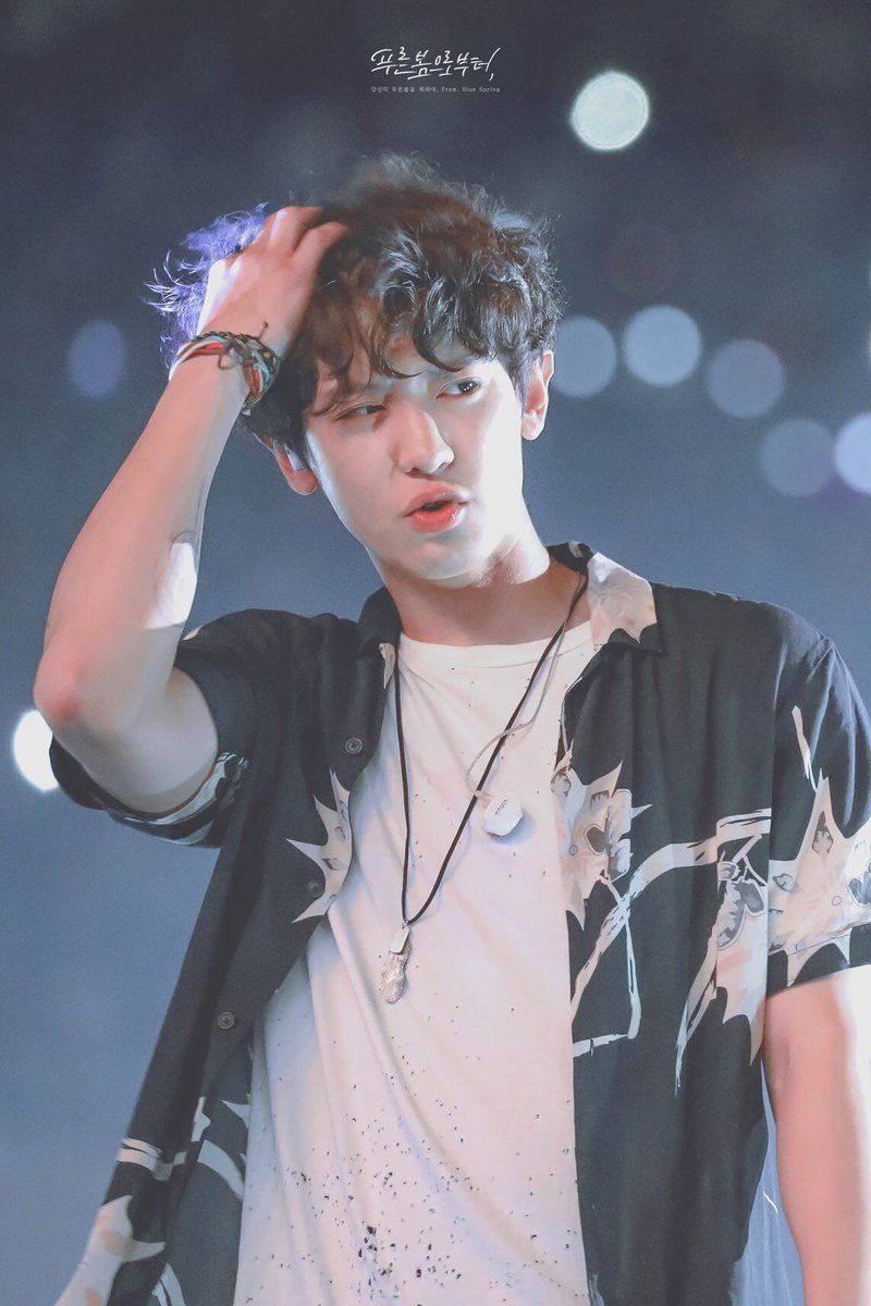 Park Chanyeol EXO concerto, 800x1200 Verticale, Mobile