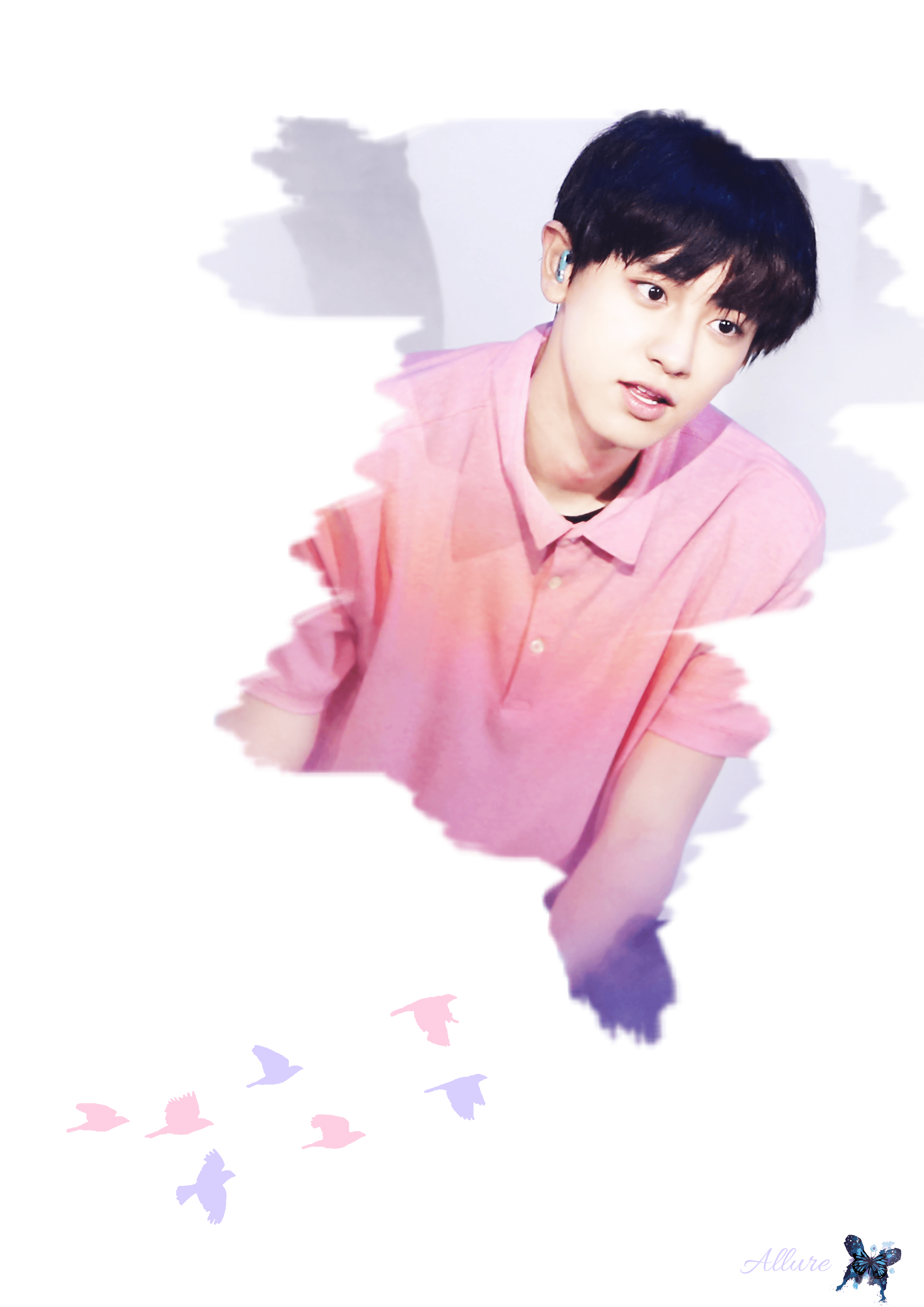 Park Chanyeol polo rosa, 2480x3508 Verticale, Mobile