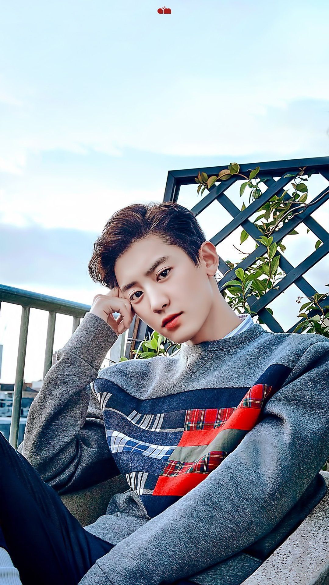Park Chanyeol EXO ritratto, K-pop, 1080x1920 Verticale, Mobile