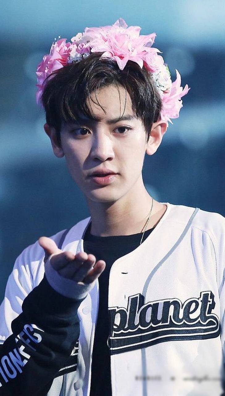 Park Chanyeol EXO corona fiori, 729x1280 Verticale, OnePlus