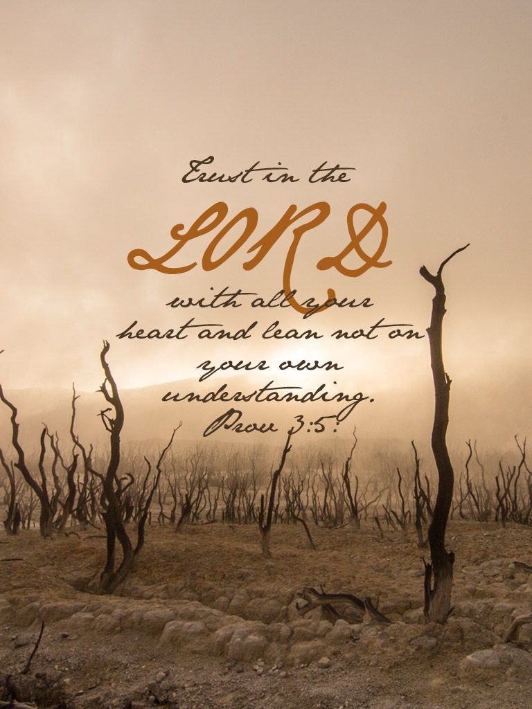 Citazione biblica Salmo 39:8, 1920x1080 Full HD 1080p, PC Desktop