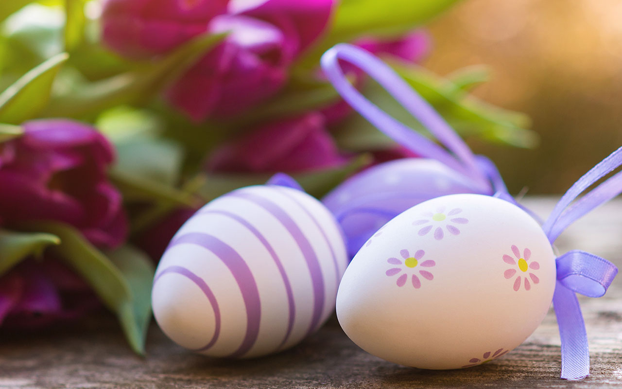 Uova di Pasqua con tulipani viola, 1280x800 720p, PC