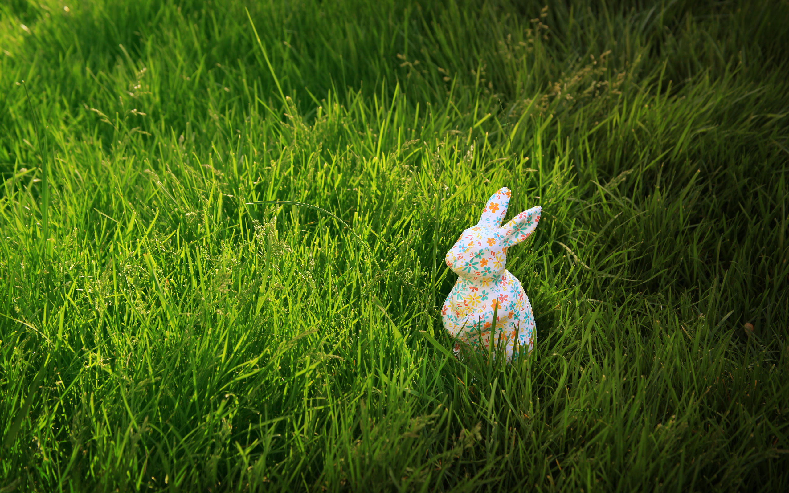 Coniglietto decorativo nell'erba verde, 2560x1600 2K+, Laptop