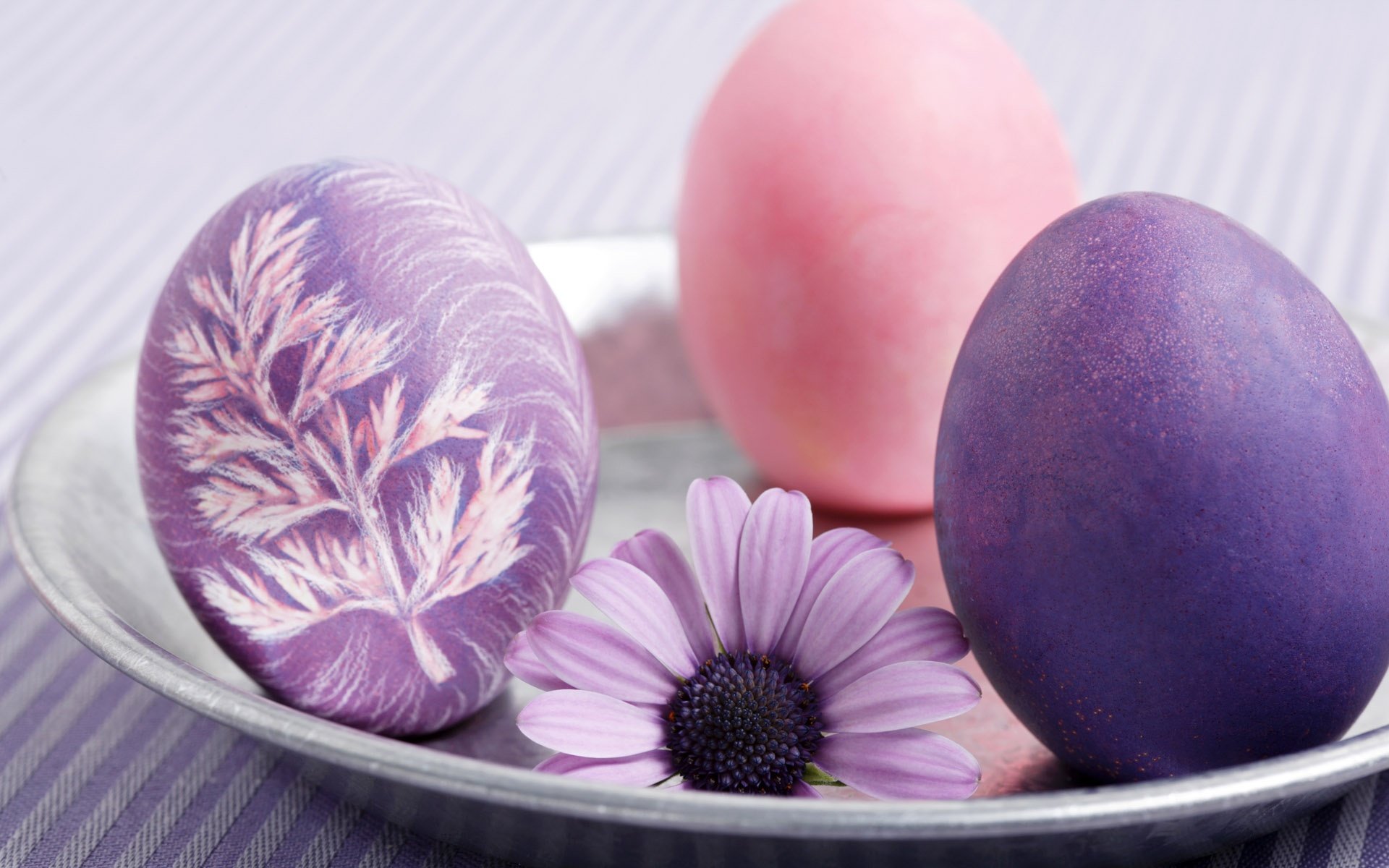 Uova di Pasqua viola dipinte, 1920x1200 Full HD+, iMac