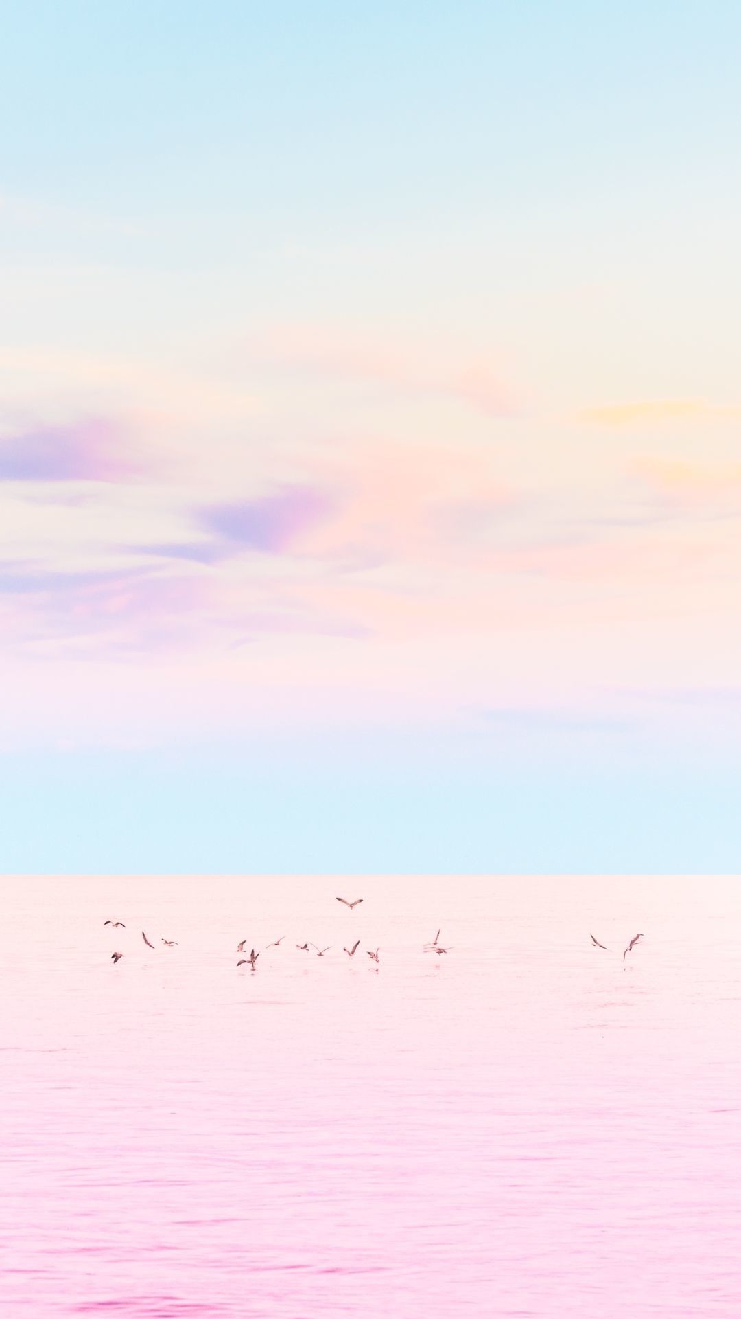 Cielo pastello con uccelli, 1080x1920 Verticale, Telefono
