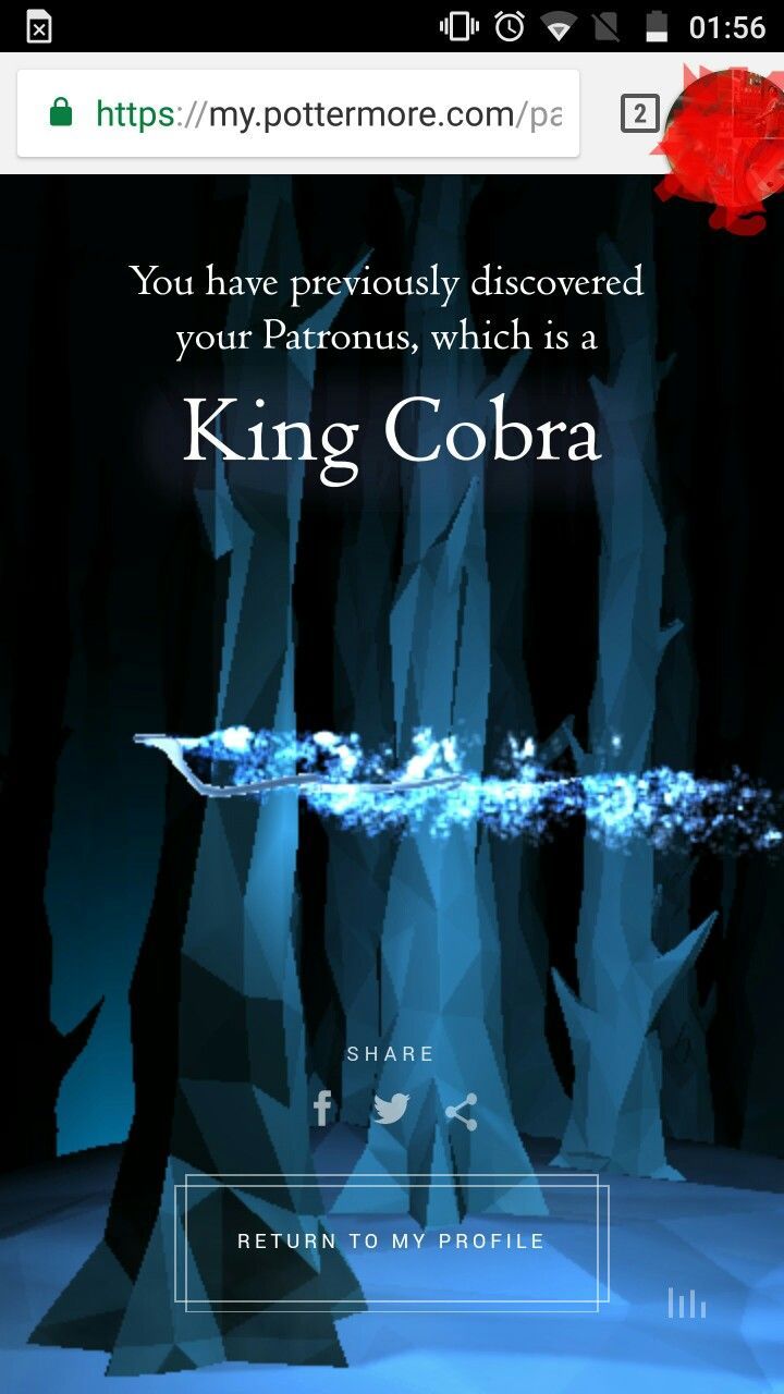 Patronus biscia Adder Pottermore, 2540x1432 alta risoluzione, PC