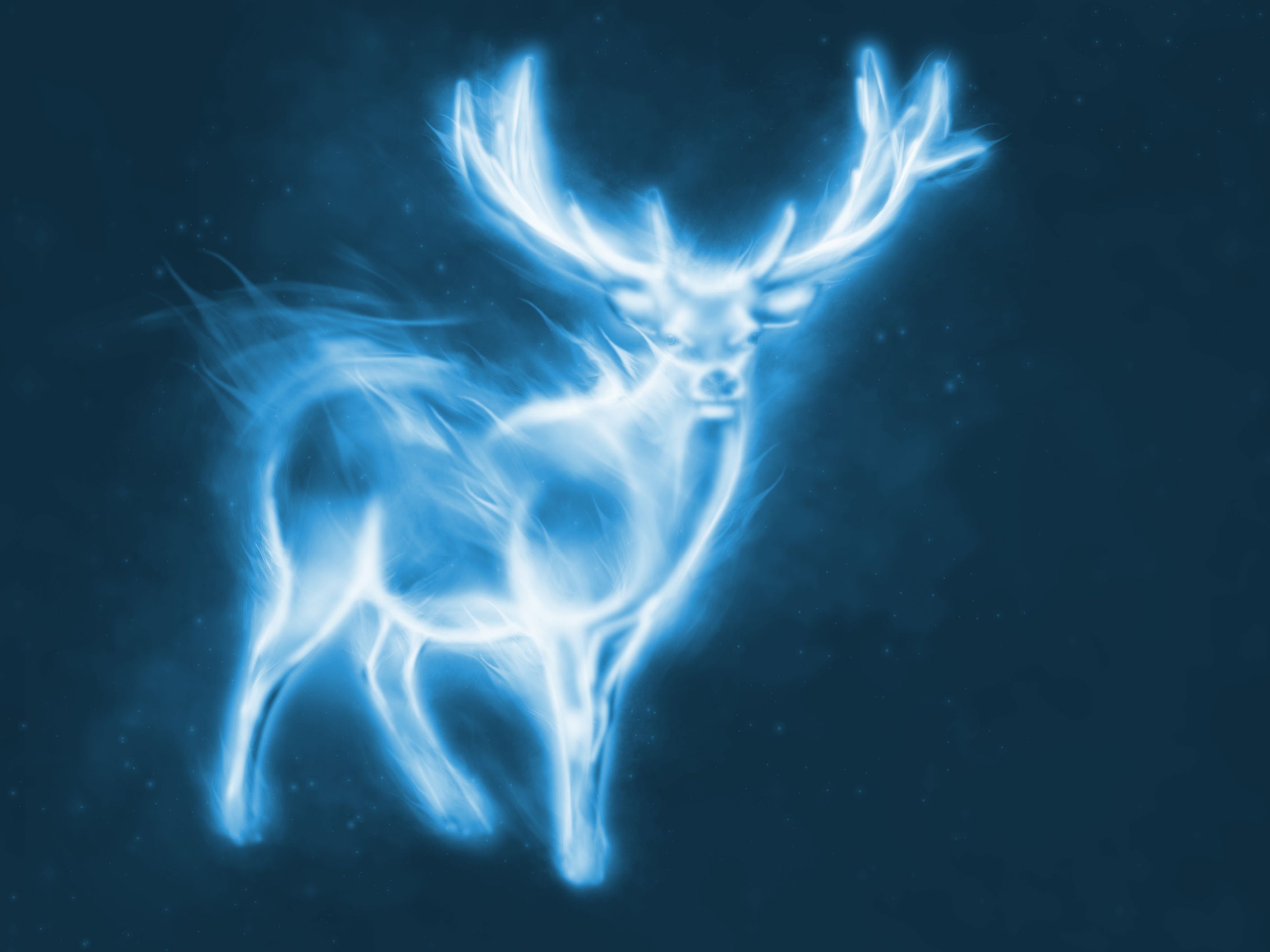 Patronus cervo luminoso blu, 2816x2112 2K, Desktop
