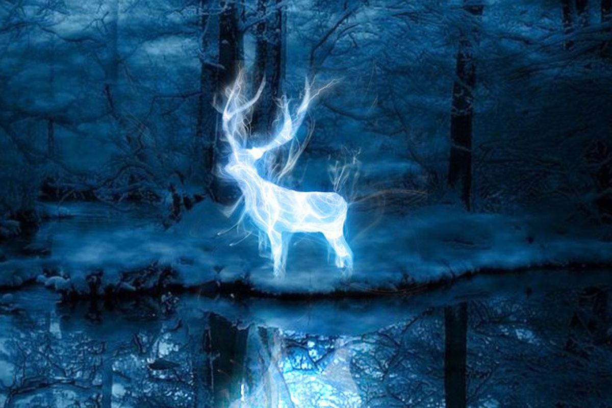 Patronus cervo luminoso foresta, 1200x800 HD, Notebook Gaming