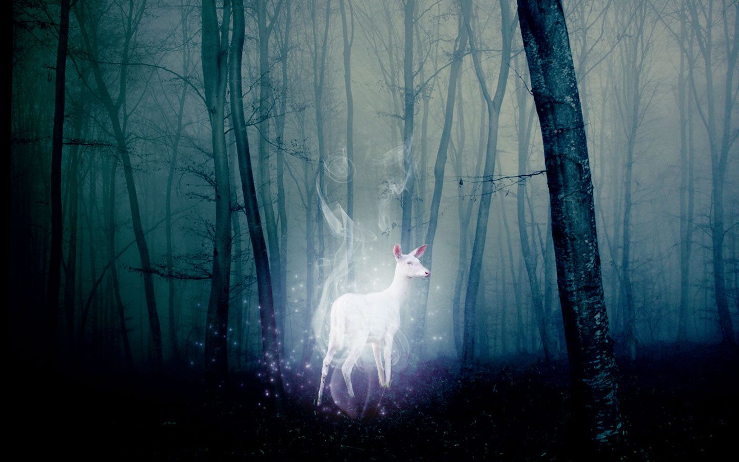 Cervo Patronus luminoso nella foresta, 1440x900 HD, Desktop