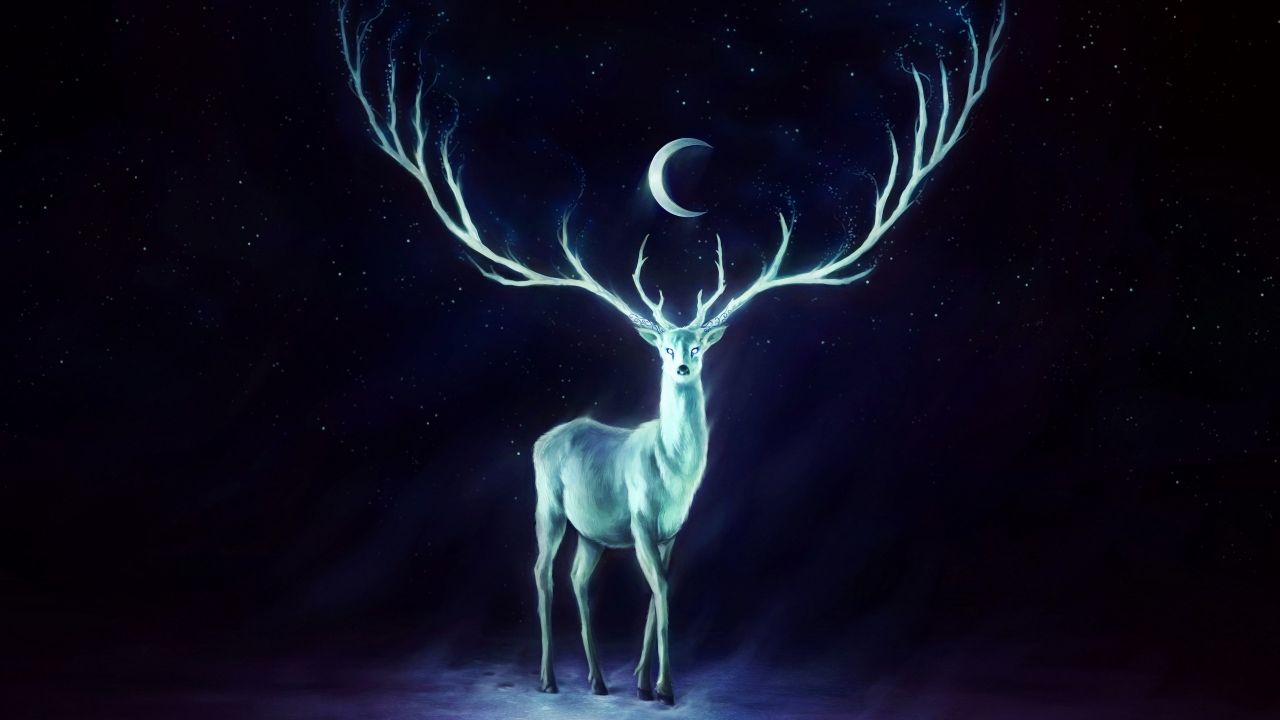 Cervo Patronus luminoso notturno, 1280x720 720p, PC
