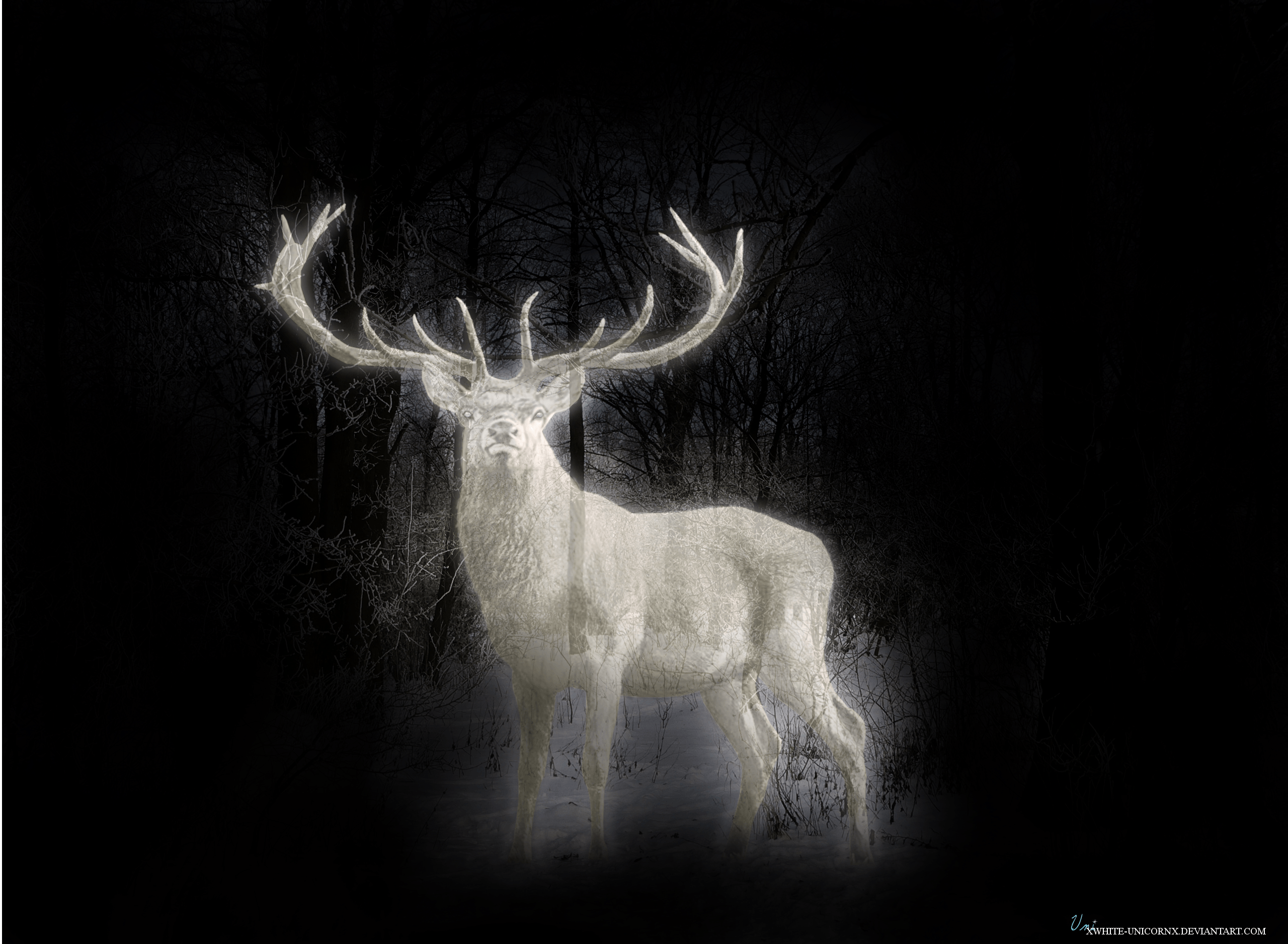 Cervo patronus luminoso Harry Potter, 2560x1877 WQXGA, Monitor Gaming