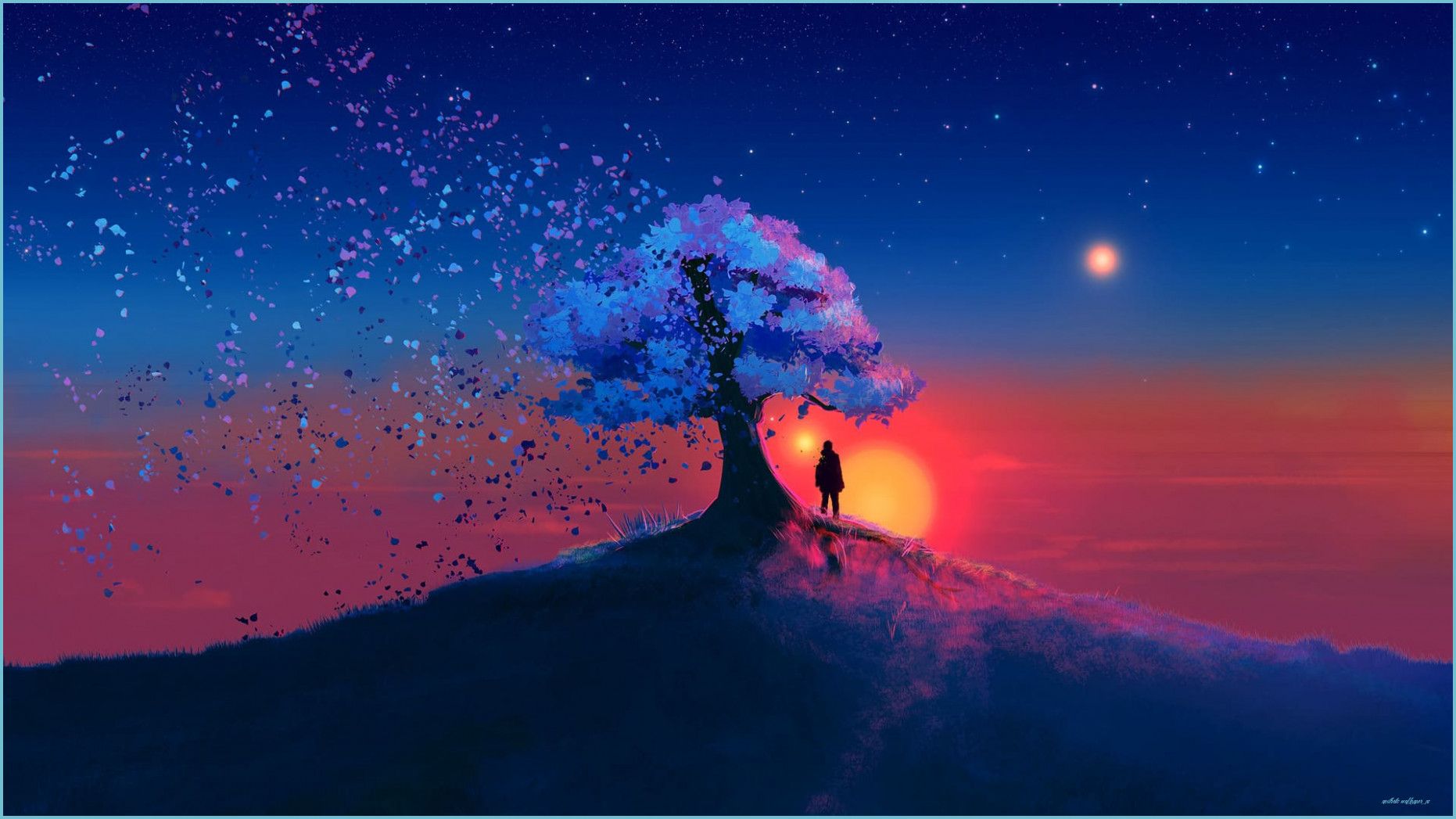 Silhouette albero tramonto stellato, sfondi per PC, 1862x1047 HD, Monitor Gaming