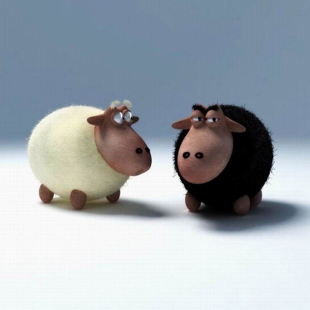 Pecora bianca e nera 3D, 1024x1024 HD, PC