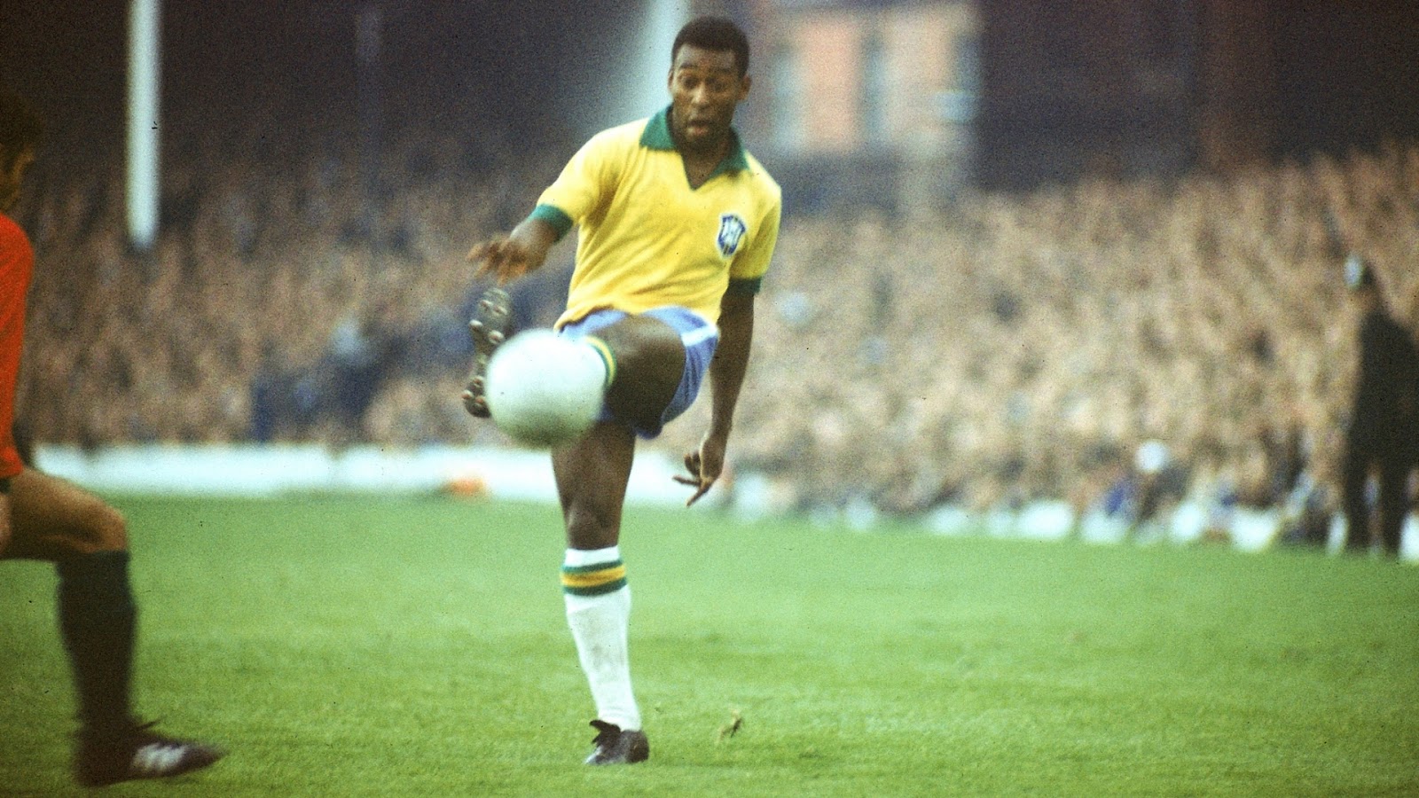 Pelé calcio Brasile campo, 1600x900 HD, PC Desktop