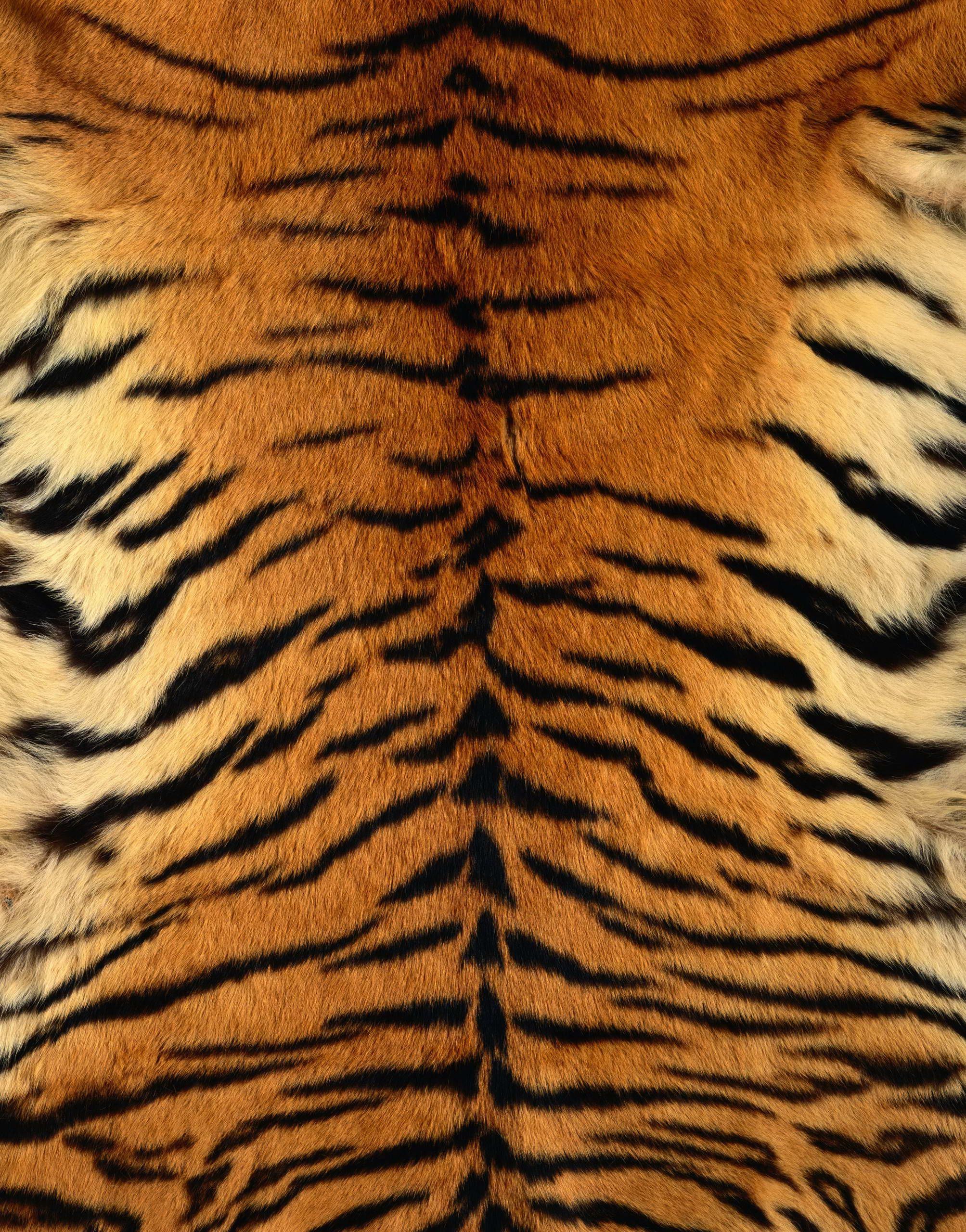 Pelliccia stampa tigre arancione nera, 2007x2560 Verticale, Mobile