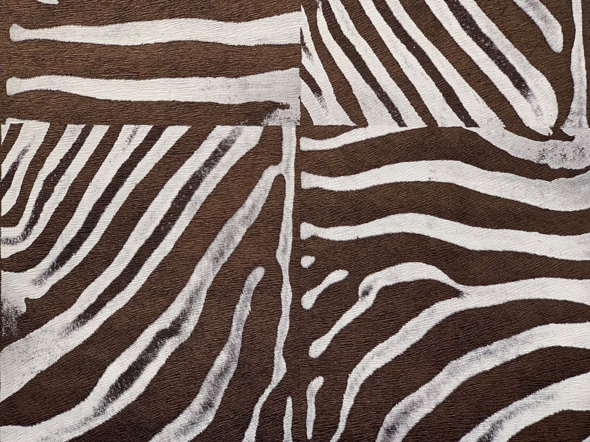 Pelliccia stampa zebra marrone, 1200x900 HD, Laptop