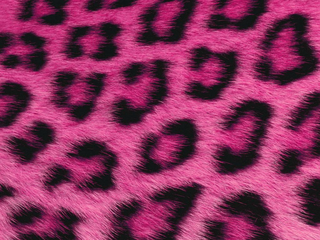 Pelliccia leopardo rosa, 1024x768 HD, PC