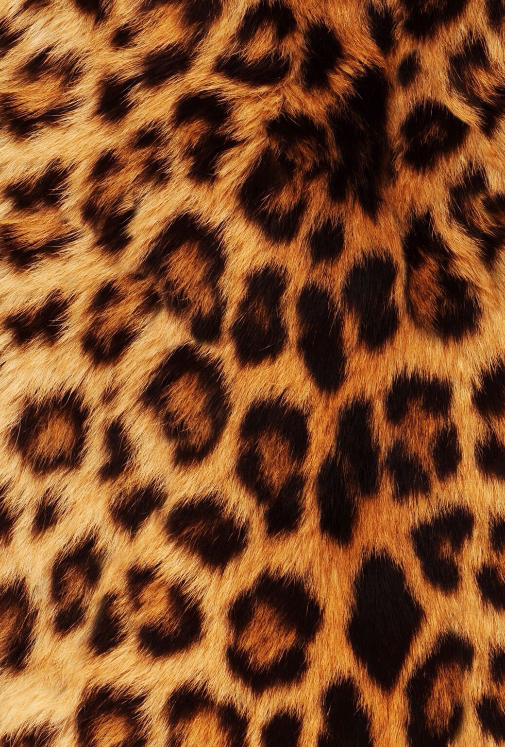 Pelliccia di leopardo maculata, 1040x1536 Full HD Verticale, Smartphone