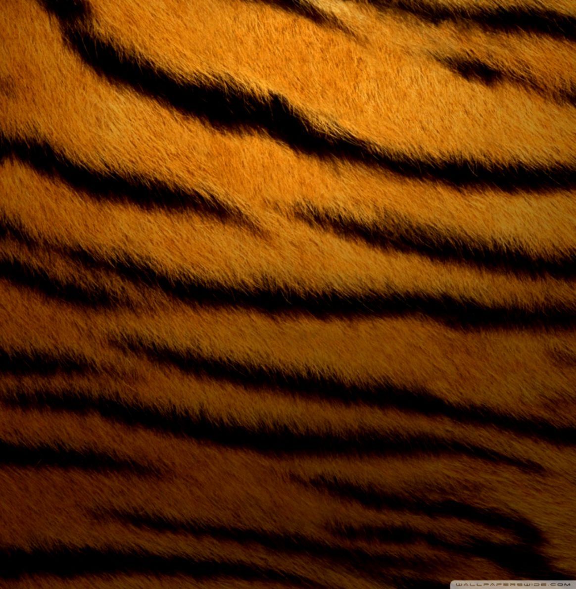 Pelliccia tigre arancione nera, 1164x1190 Verticale, Telefono