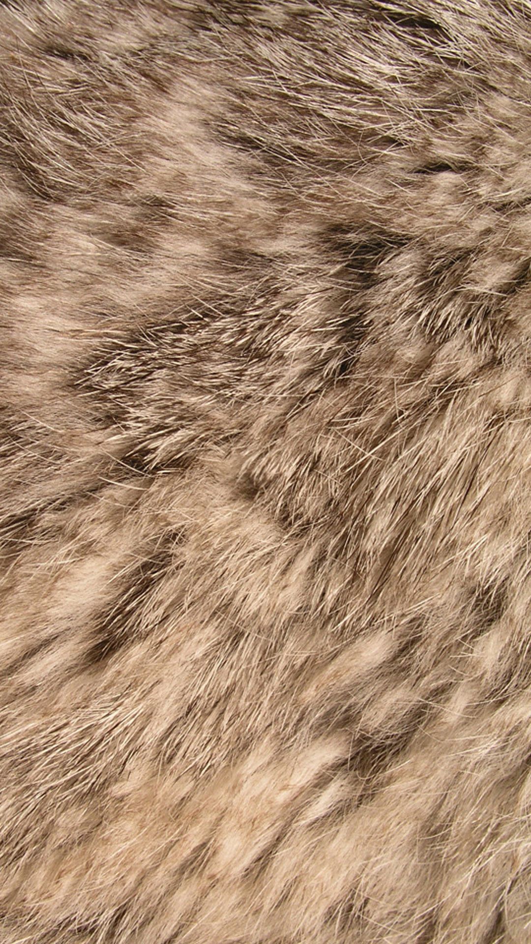 Pelliccia animale marrone beige, 1080x1920 Full HD Verticale, Smartphone