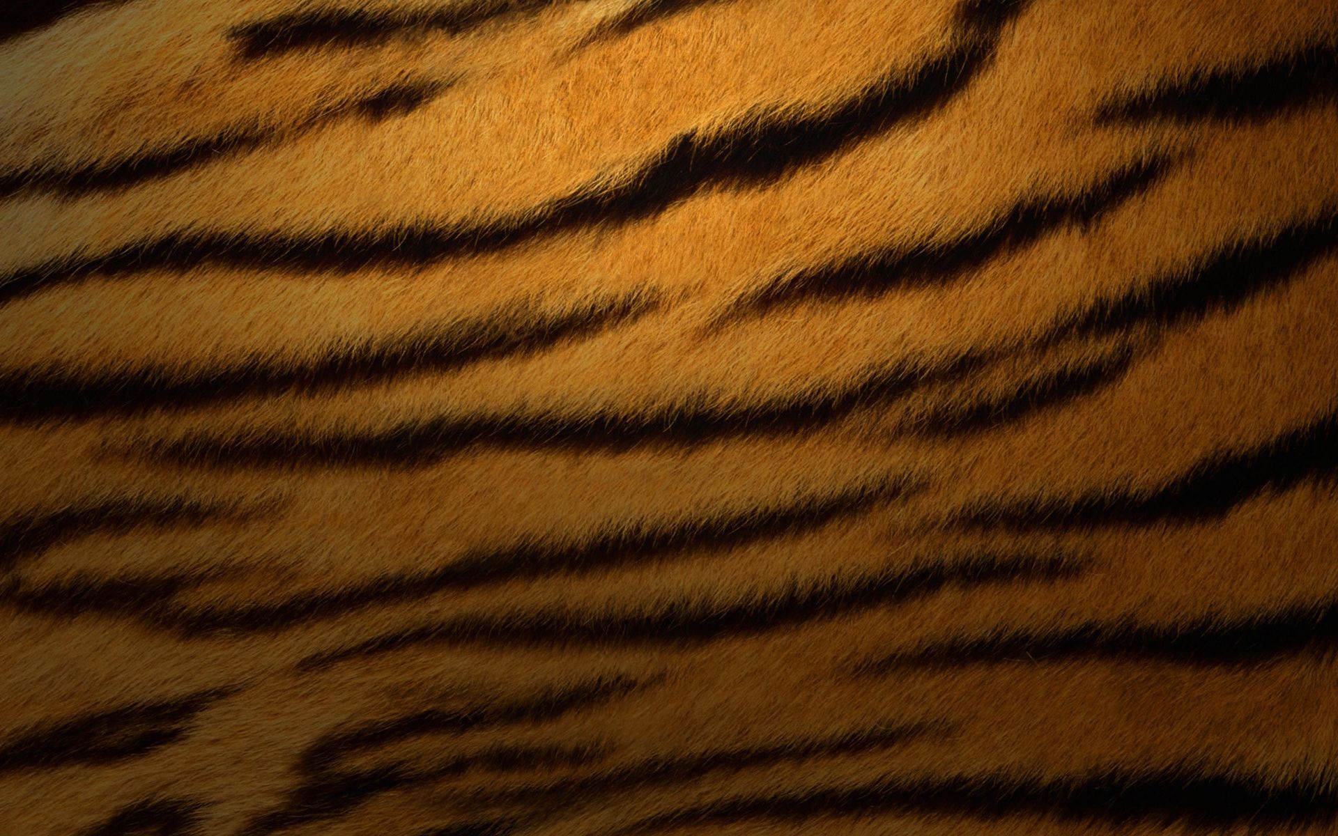 Pelliccia tigre strisce arancioni, 1920x1200 Full HD+ WUXGA, PC