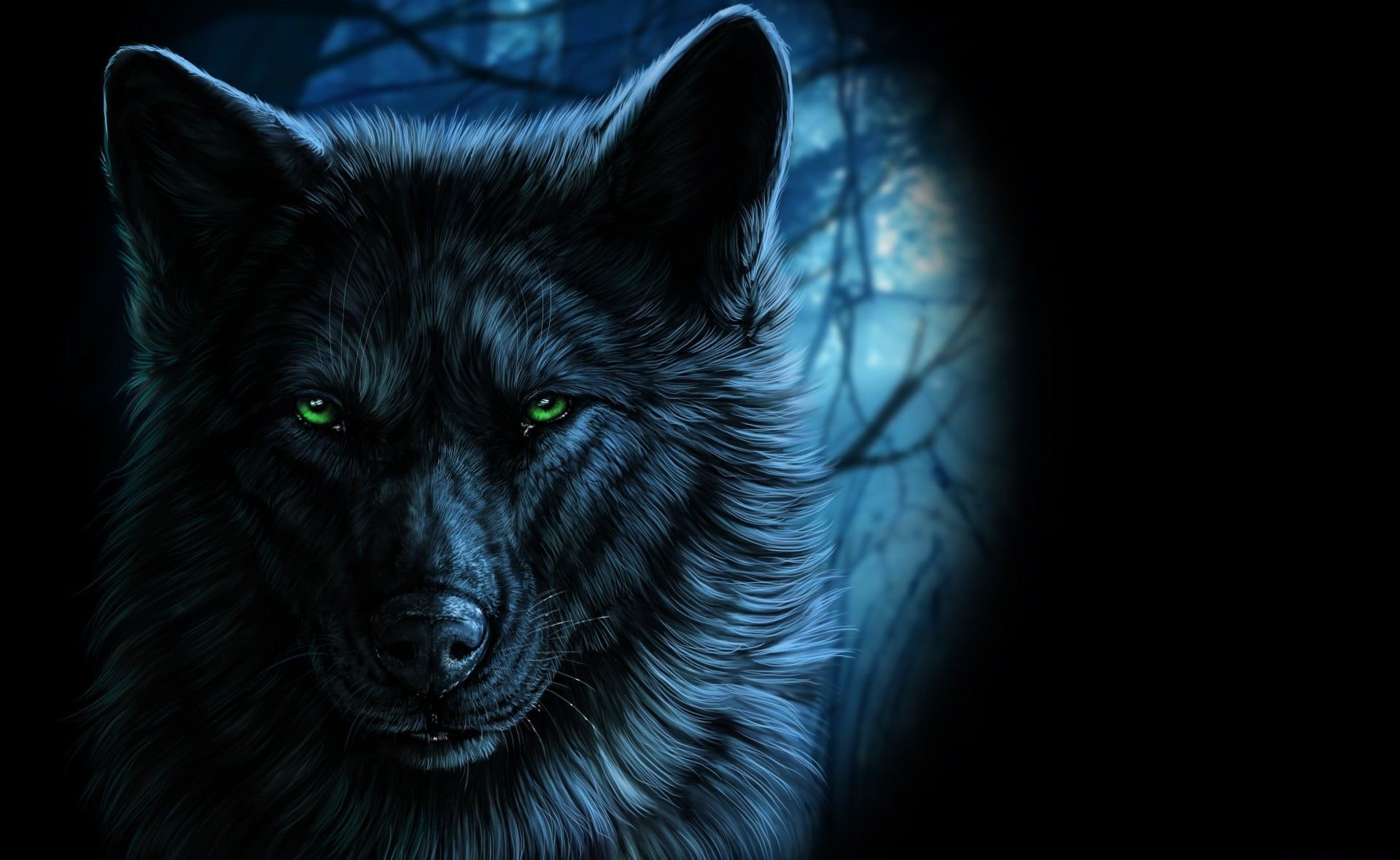 Lupo nero occhi verdi, 1920x1180 Full HD 1080p, PC
