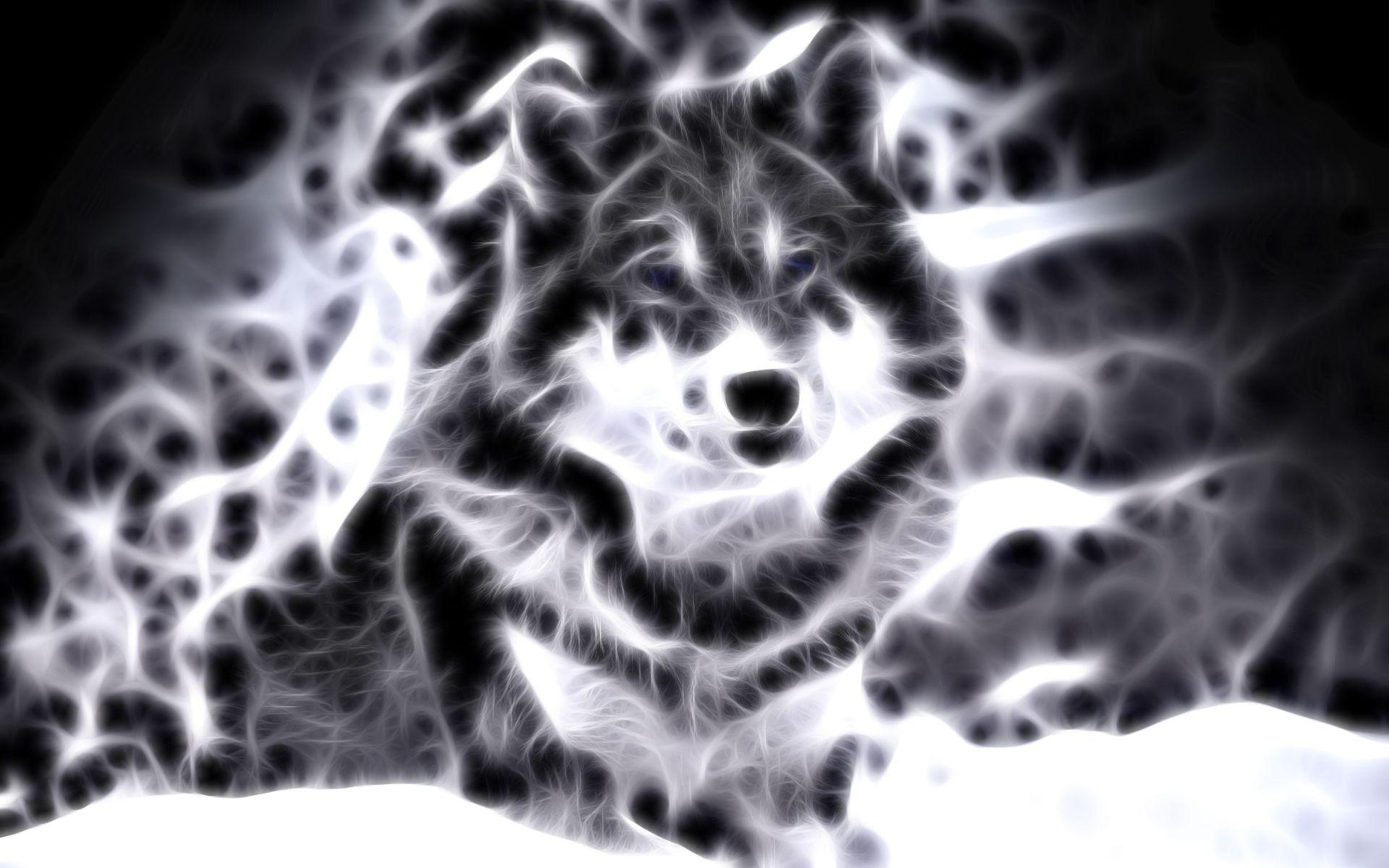 Lupo effetto frattale luminoso, 1920x1200 WUXGA, Desktop