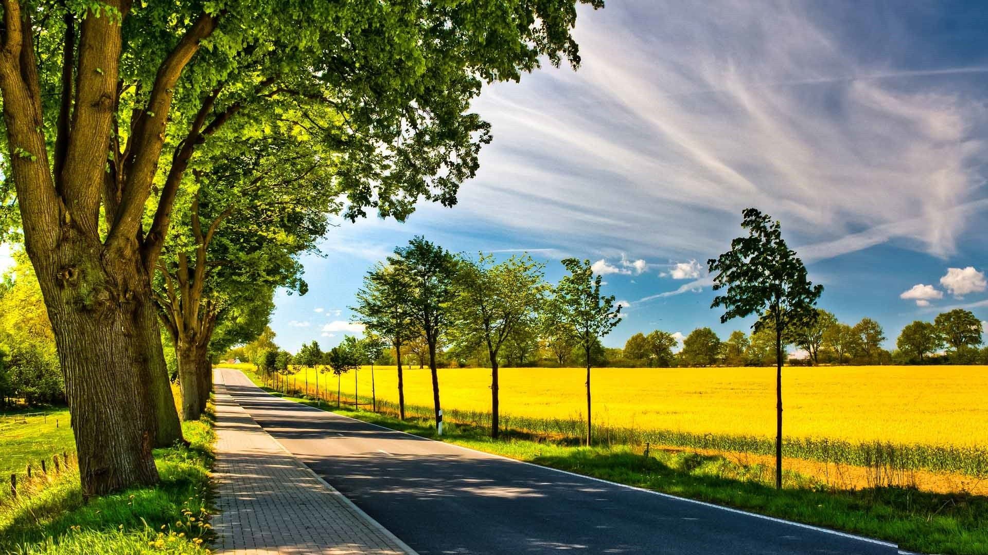 Strada di campagna con alberi, 1920x1080 Full HD 1080p, HP Laptop