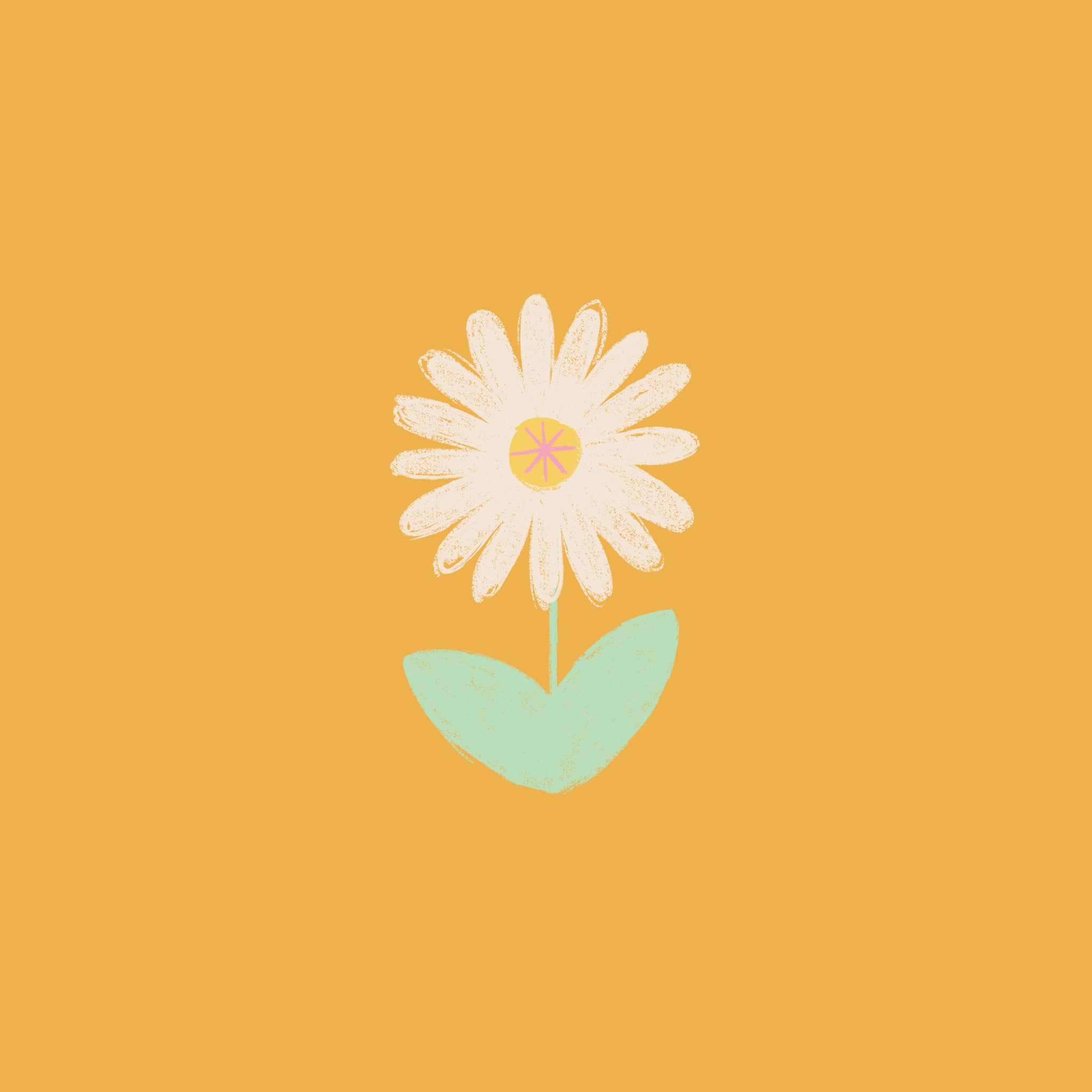 Fiore margherita minimalista arancione, sfondi per Tablet, 2048x2048 alta risoluzione, Tablet Android