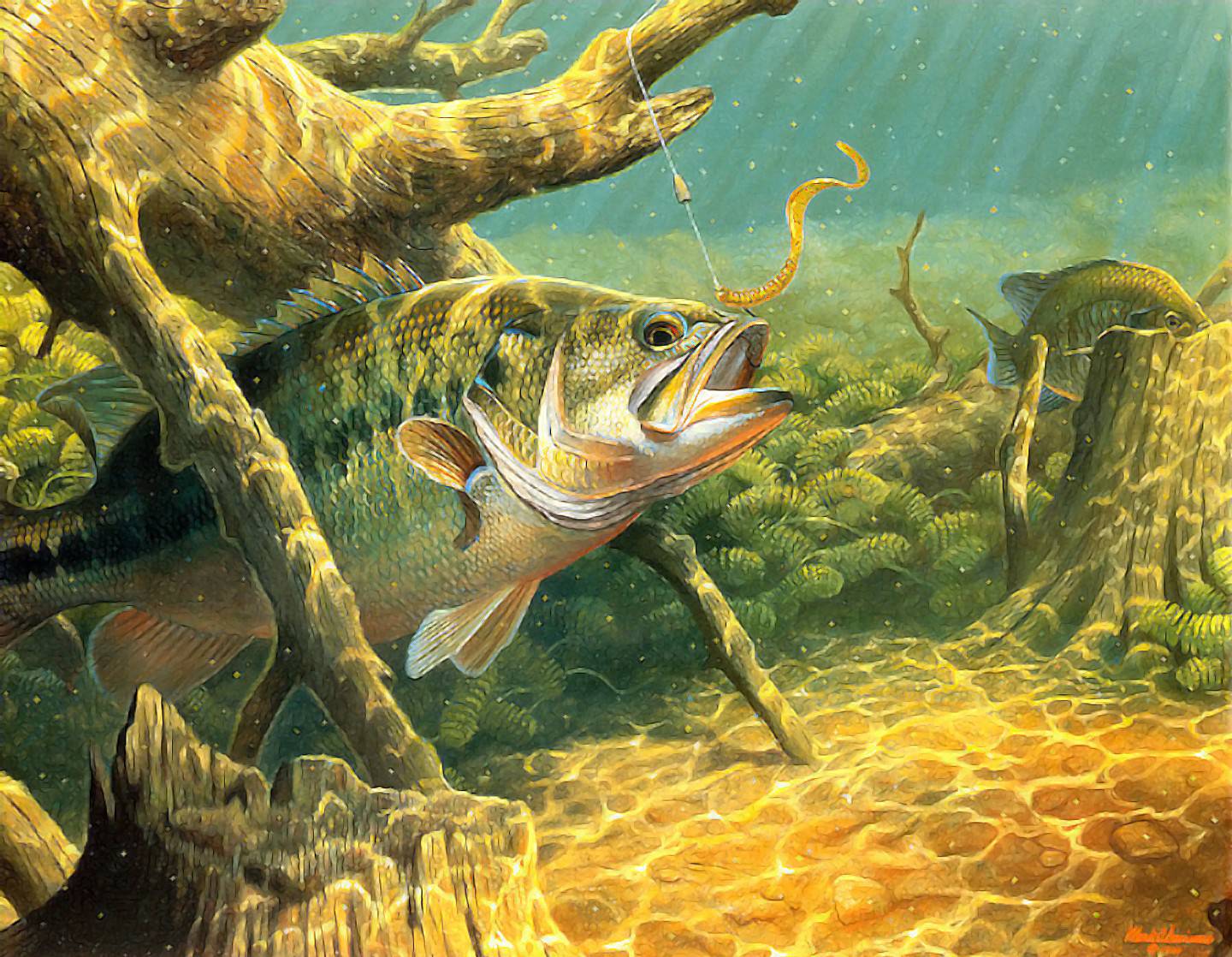 Bass che abbocca all'amo, 1440x1118 720p, Acer Nitro