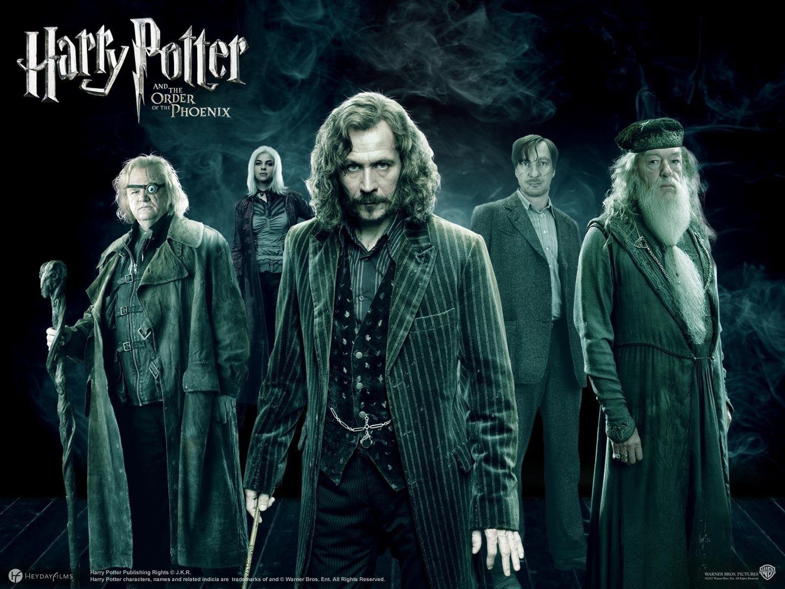 Negozio Ollivanders Diagon Alley, 736x1309 Verticale, POCO